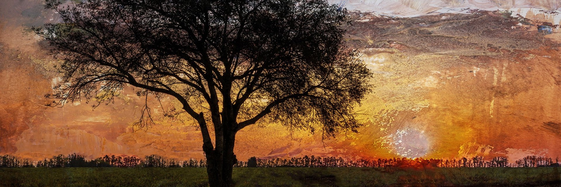 Silhouette of a tree at sunset with artistic textured overlay, blending landscape and fine art photography