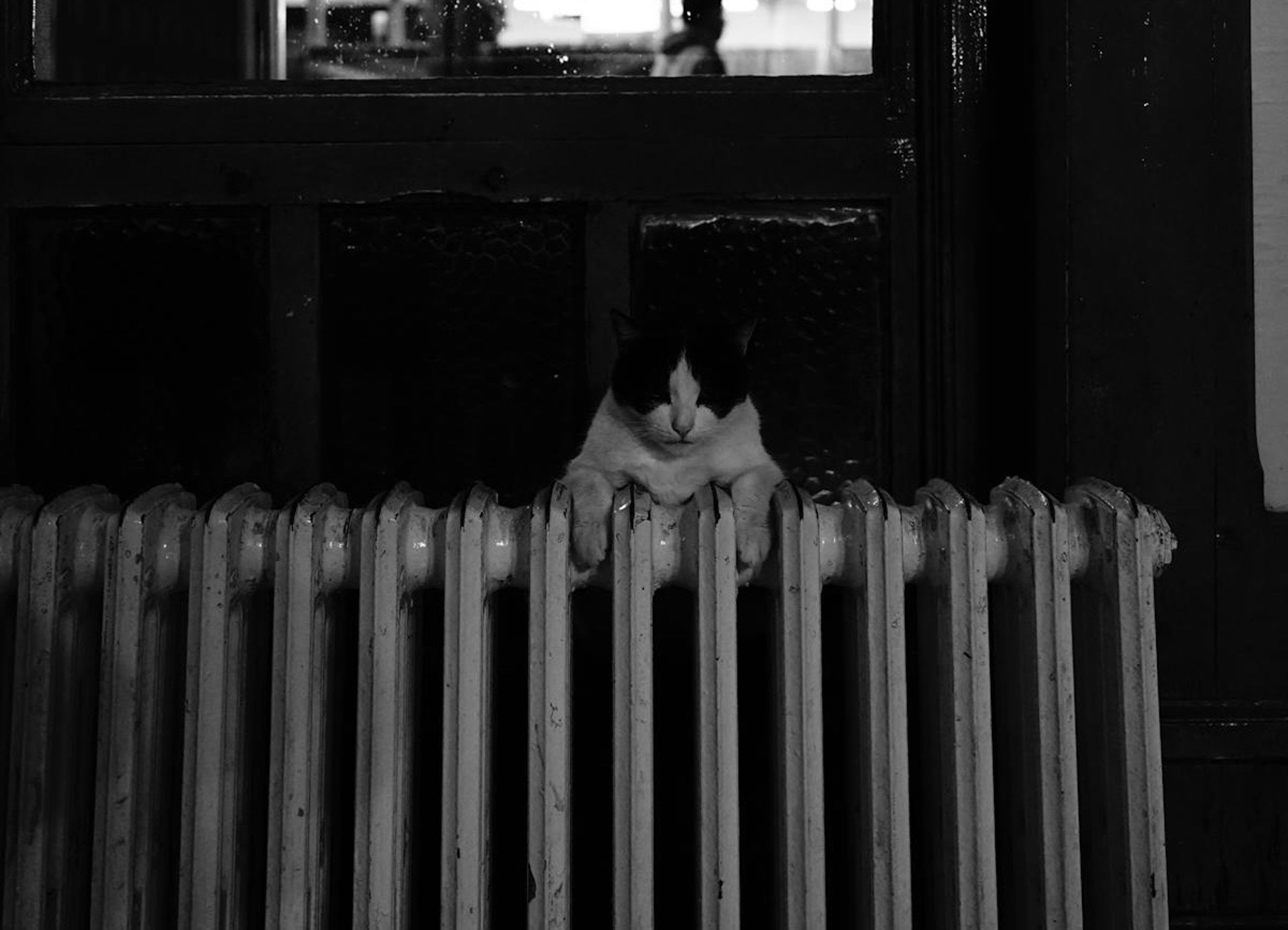 gray computer monitor