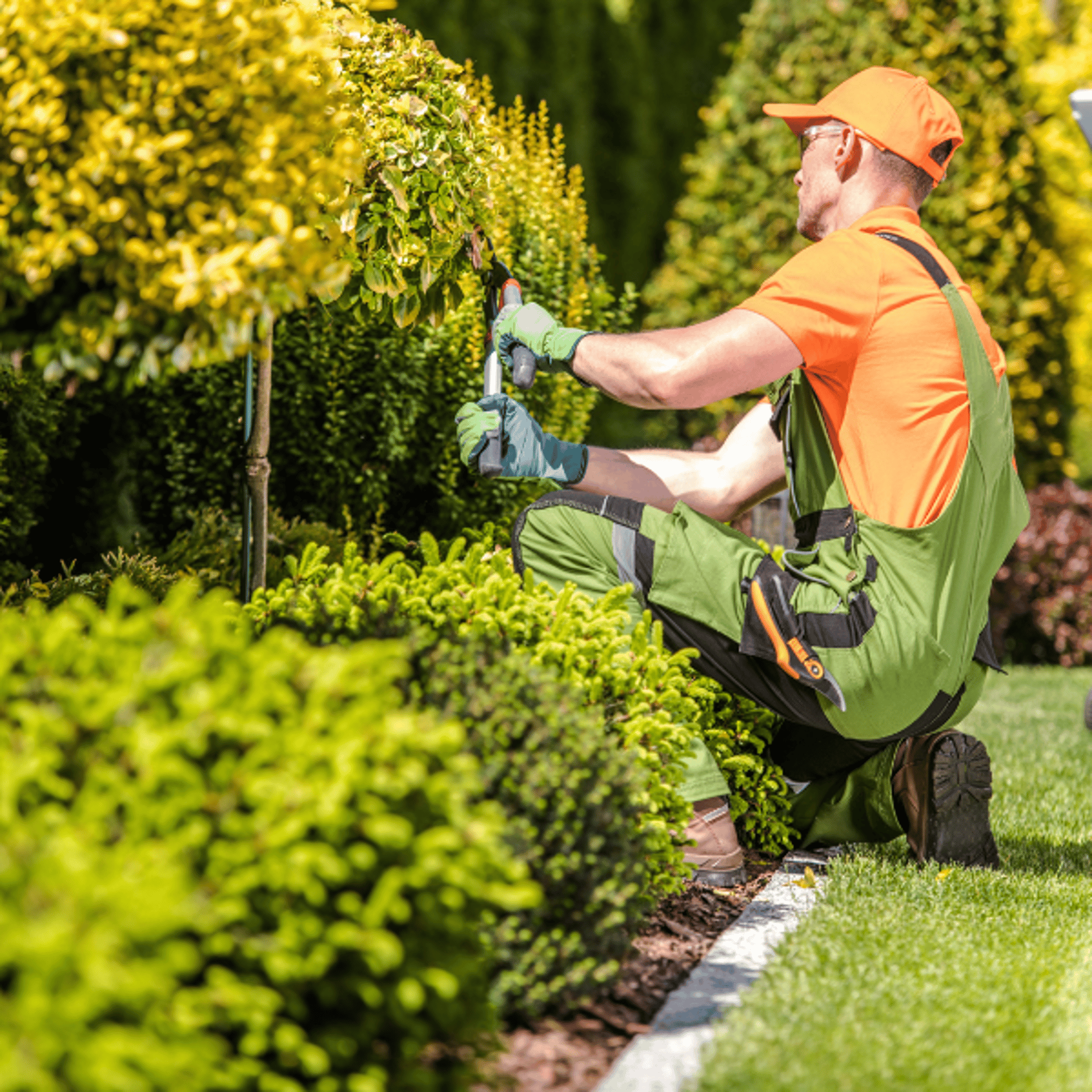 green and black lawnmower on green grass