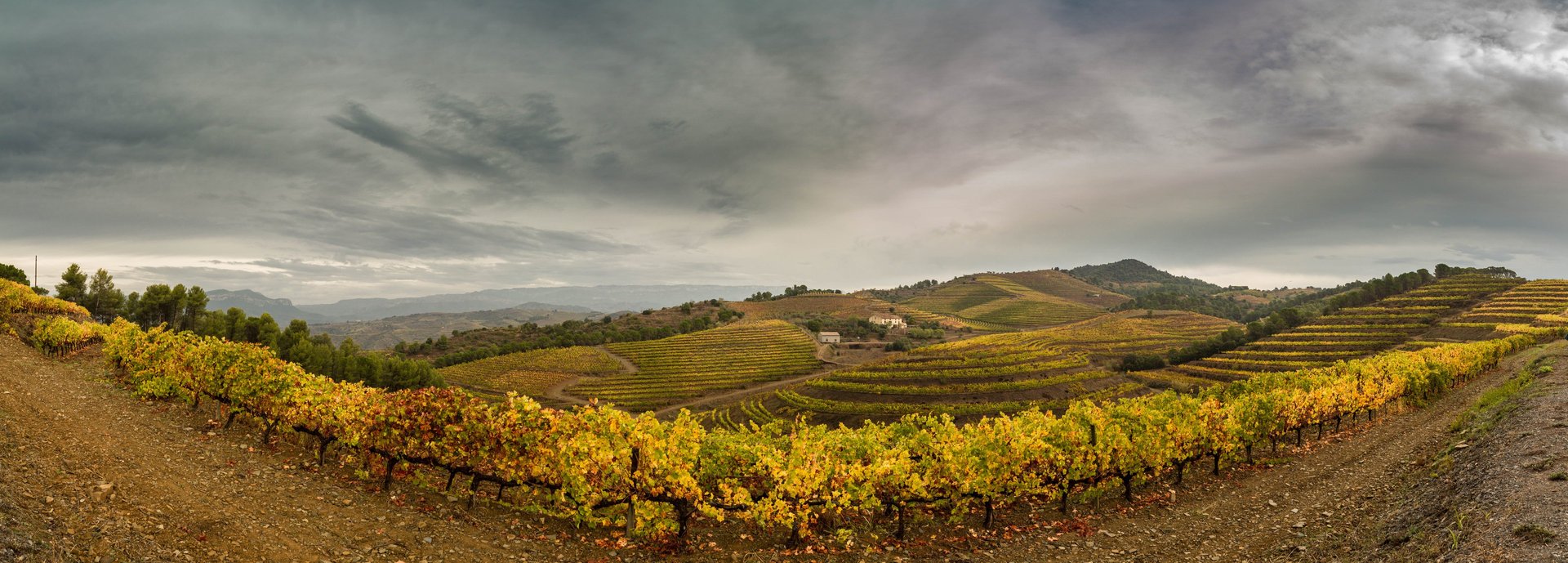an abstract photo of a curved building with a blue sky in the background