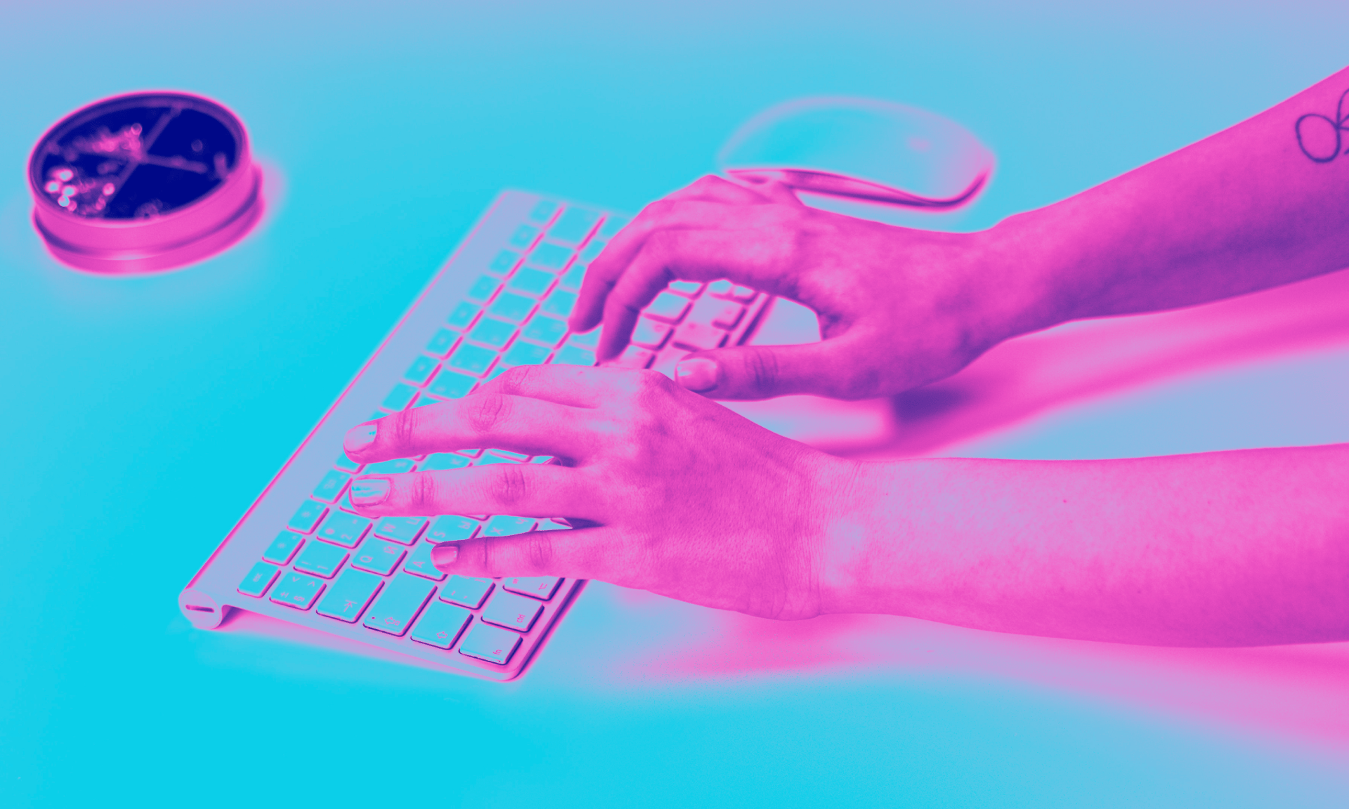 Professional website design in Cebu Philippines - Skillt Design