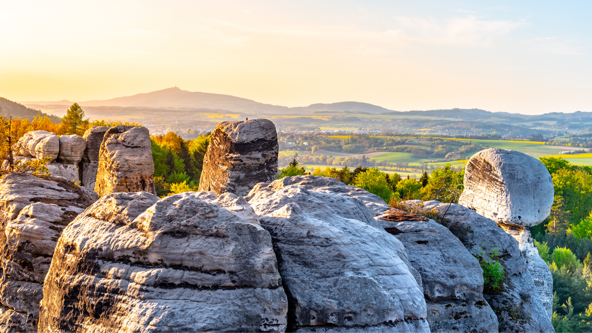 grayscale photo of hallway with columns