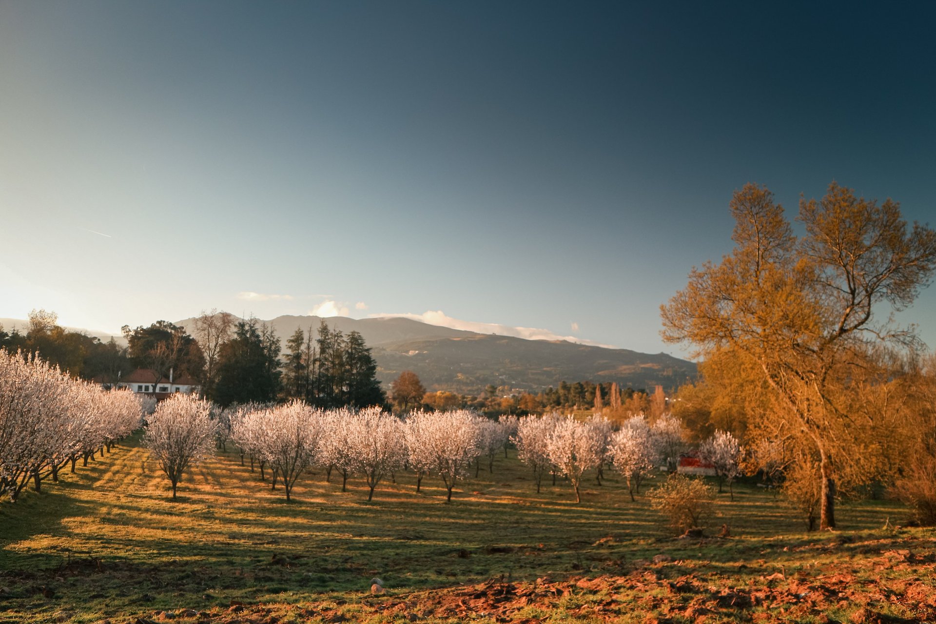 brown rock formation on body of water during daytime