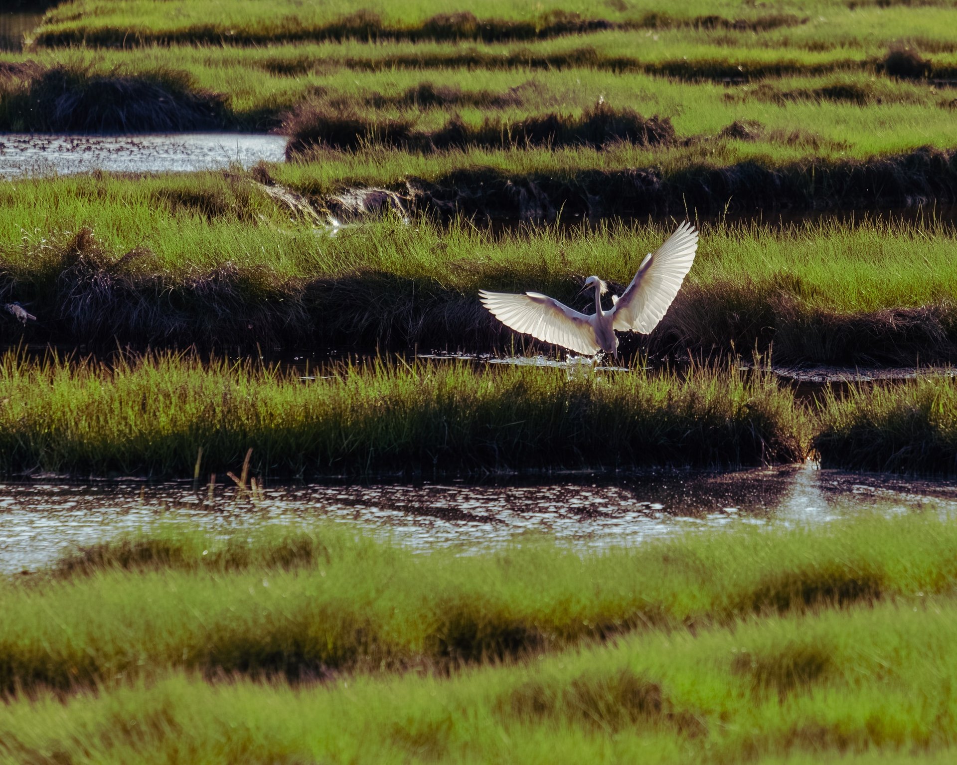 mountain range under blue sky