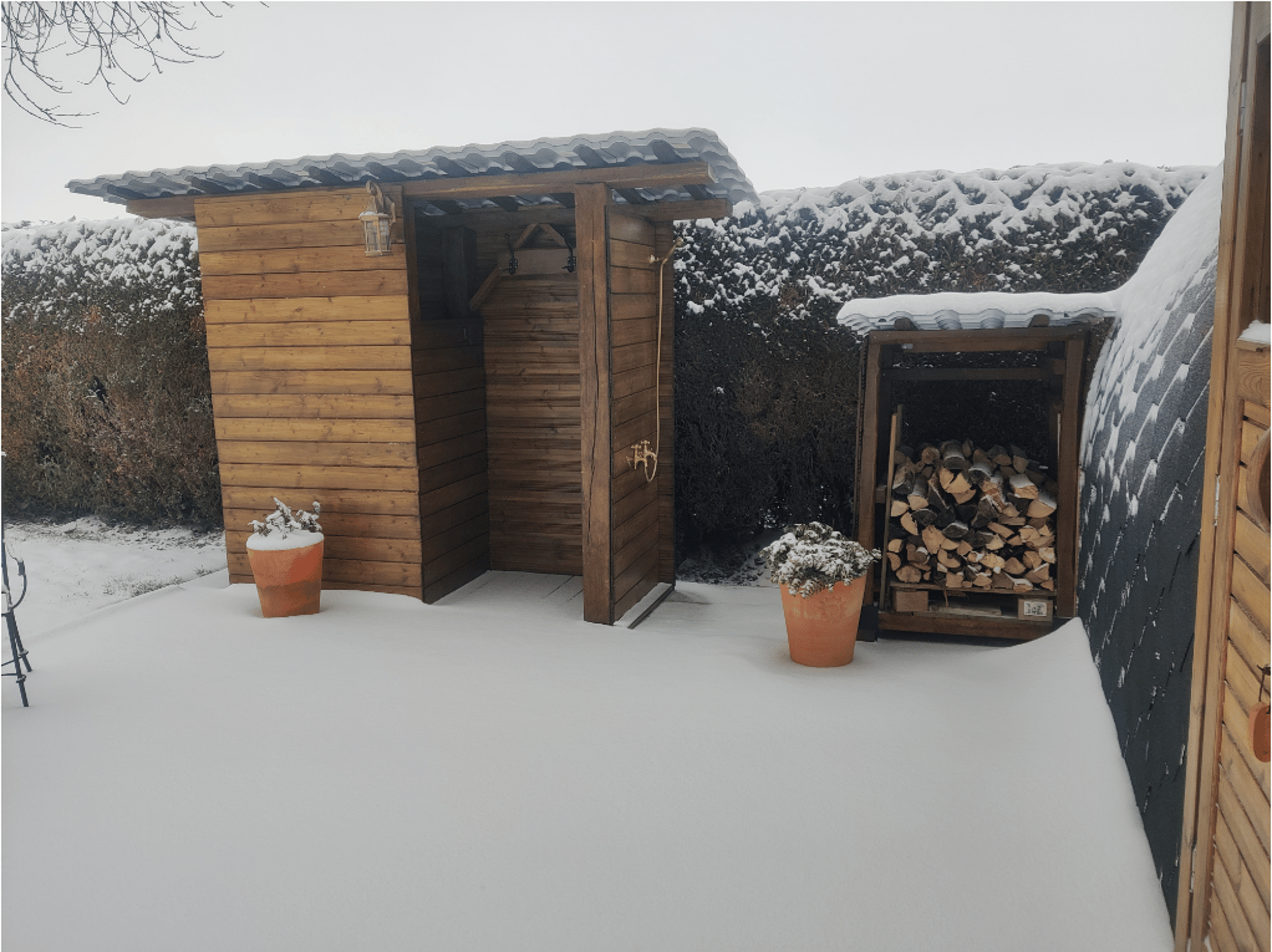 woman in red strapless top near brown house and green leafed trees