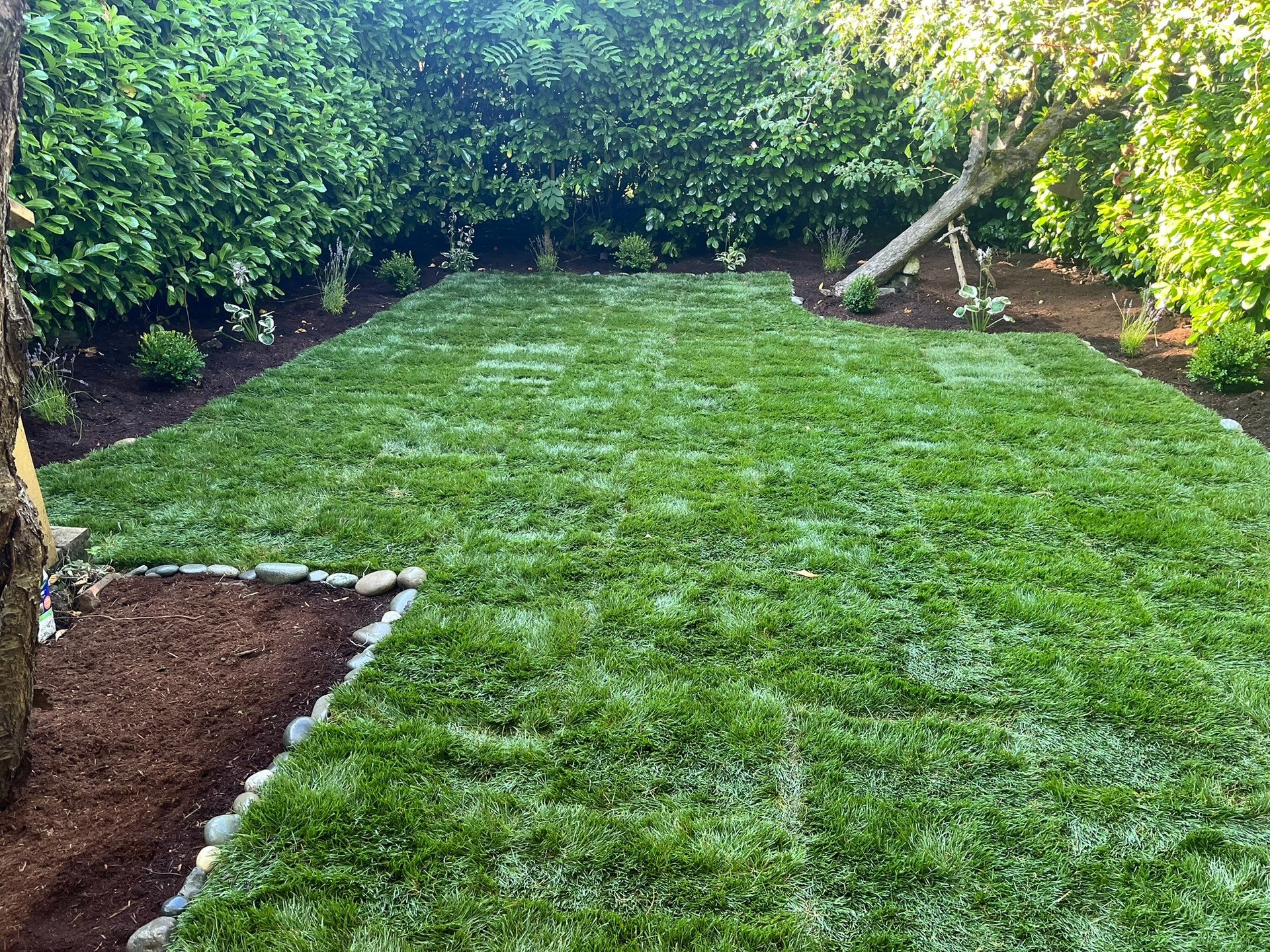 an abstract photo of a curved building with a blue sky in the background