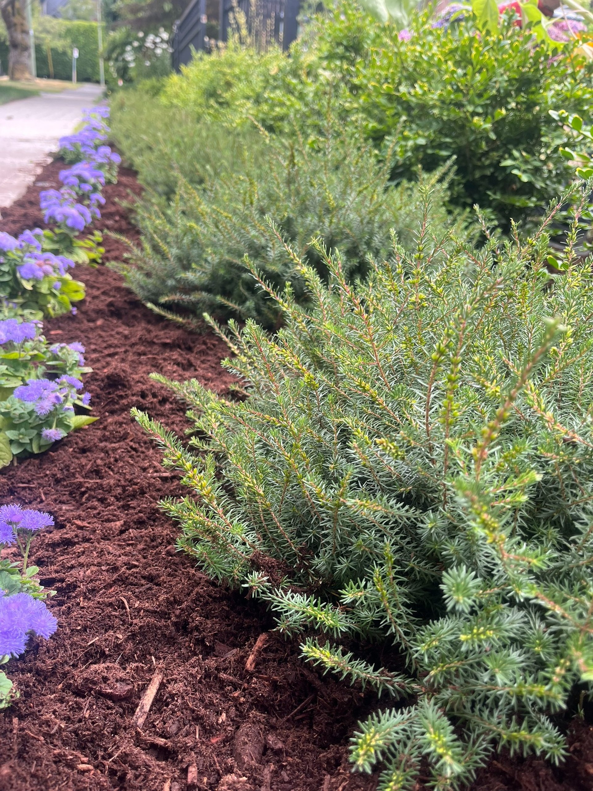 an abstract photo of a curved building with a blue sky in the background