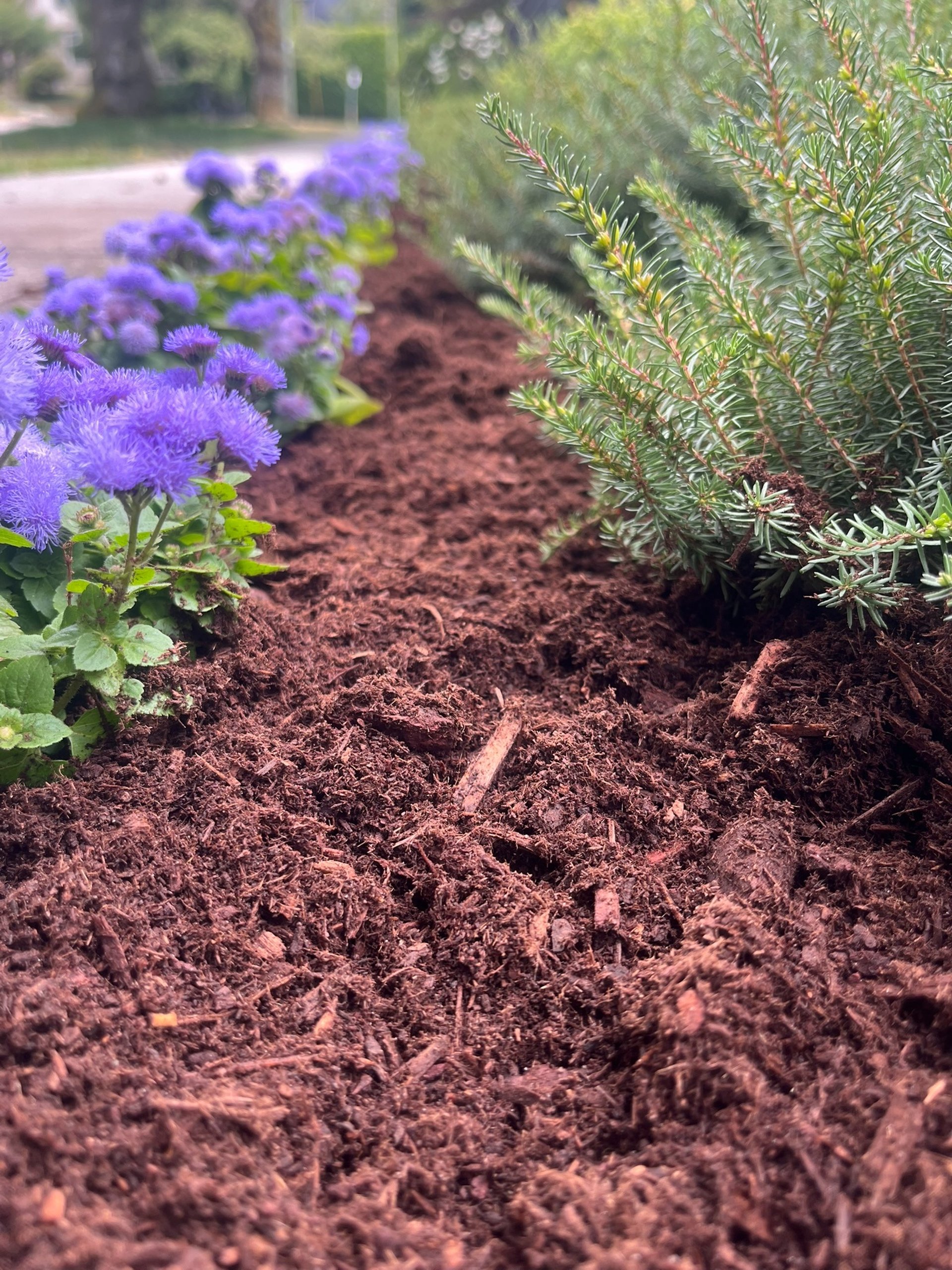 an abstract photo of a curved building with a blue sky in the background