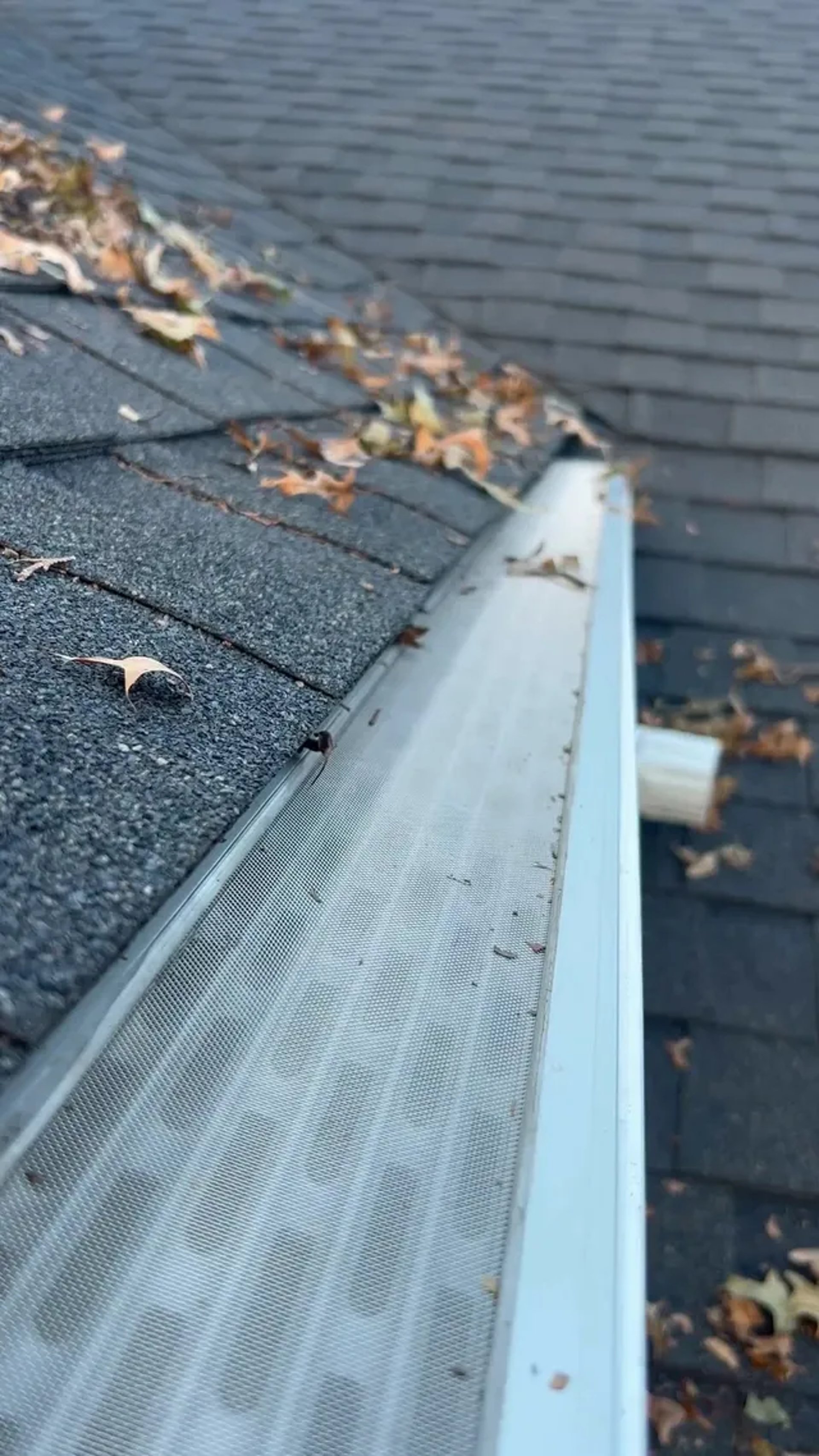 a walmart store with a car parked in front of it