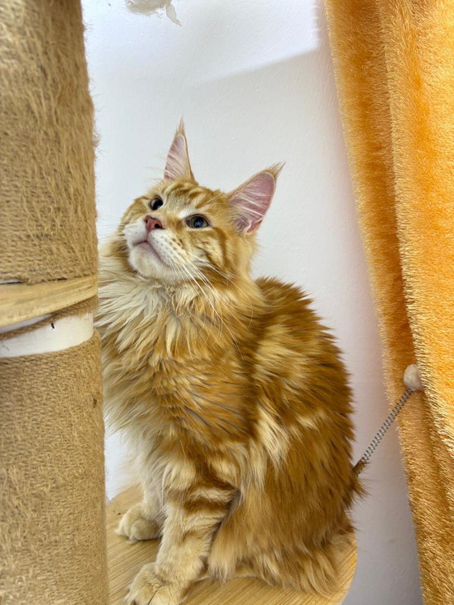 an abstract photo of a curved building with a blue sky in the background