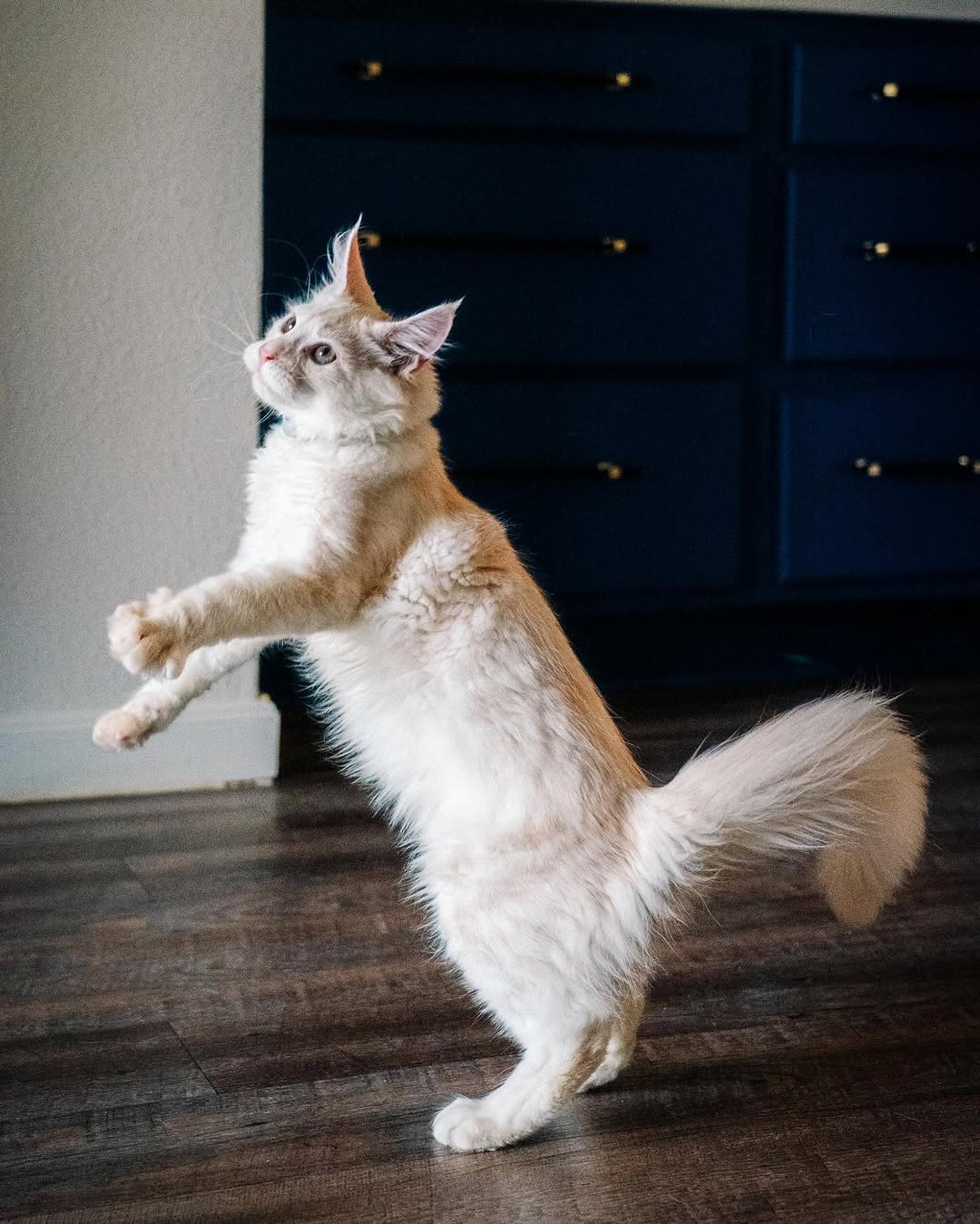 gray computer monitor