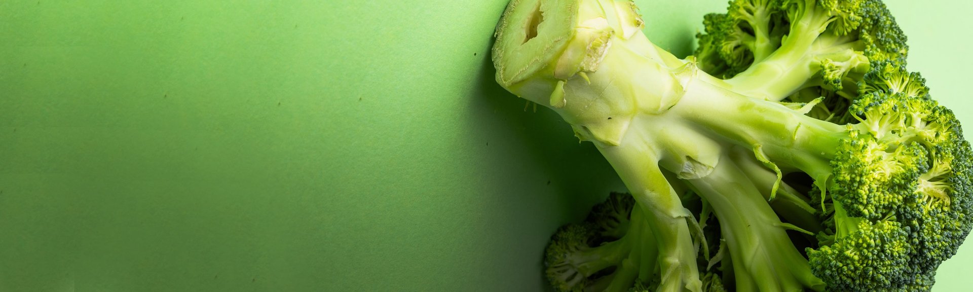 black and brown leather padded tub sofa