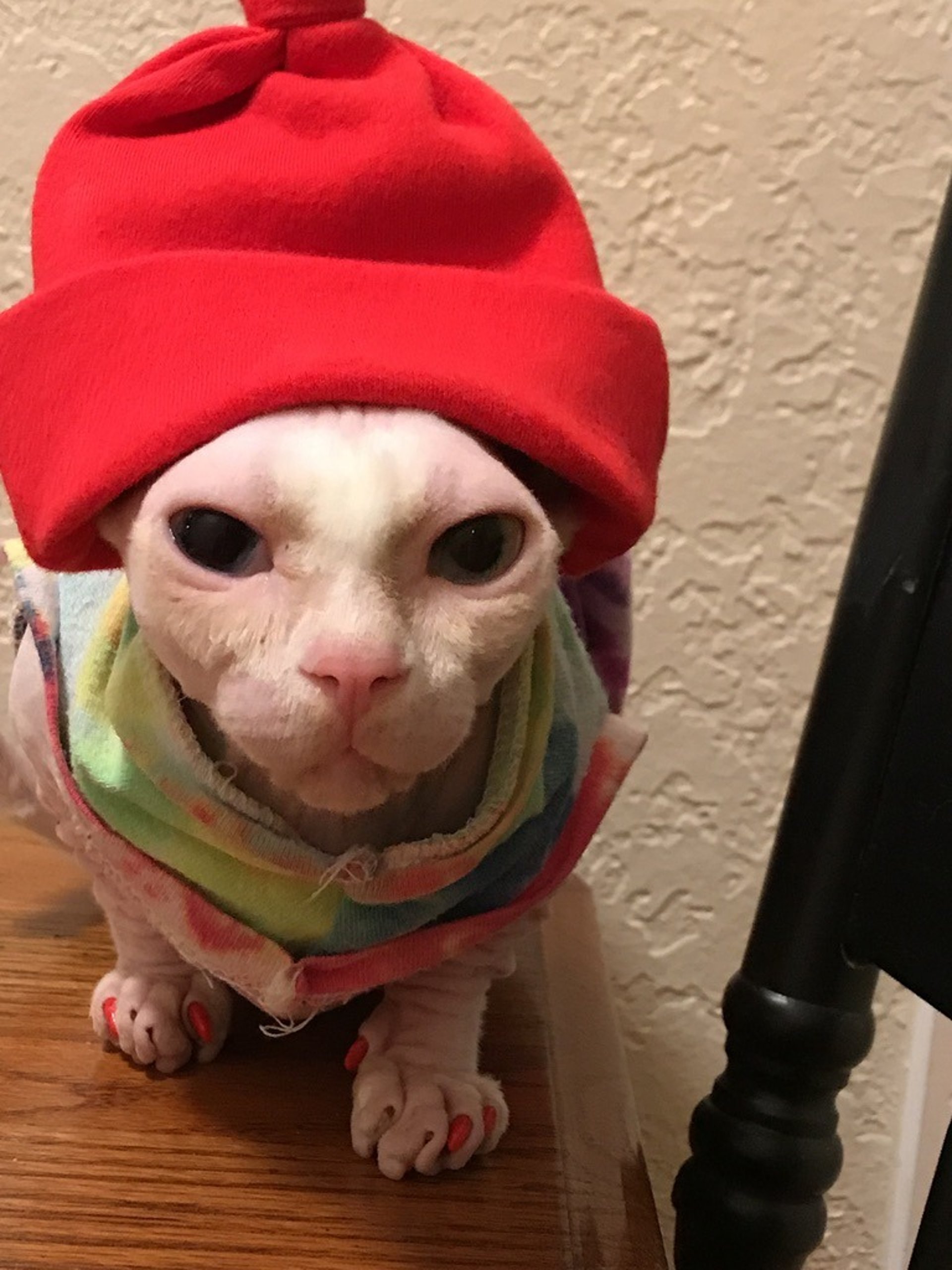 gray computer monitor