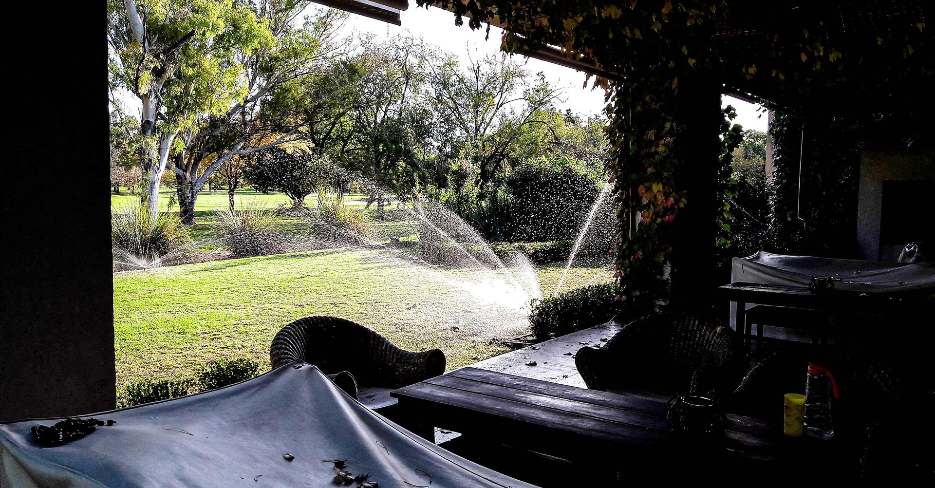 person holding white Android smartphone in white shirt