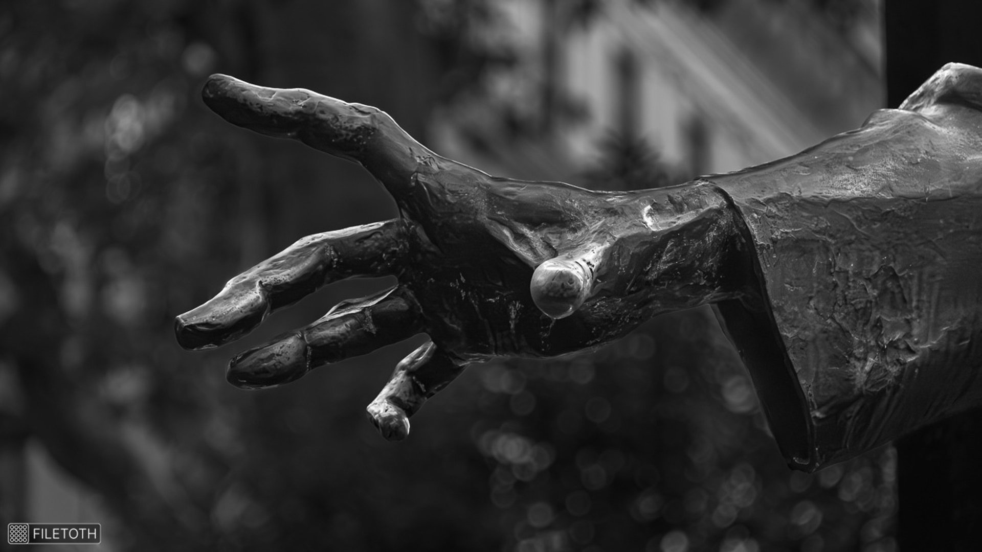 Grayscale photo of Liszt’s right hand, expressive gesture.