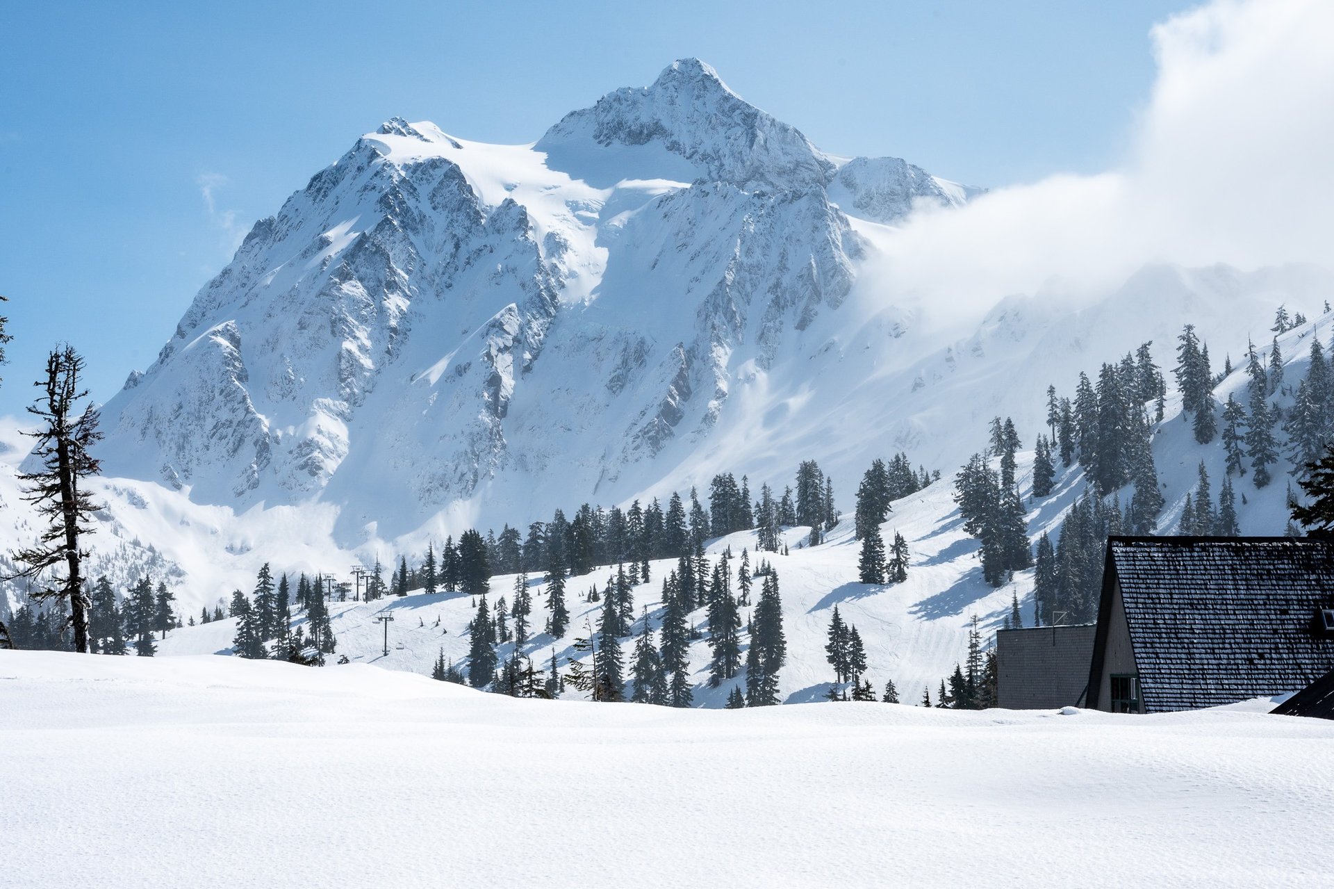 an abstract photo of a curved building with a blue sky in the background
