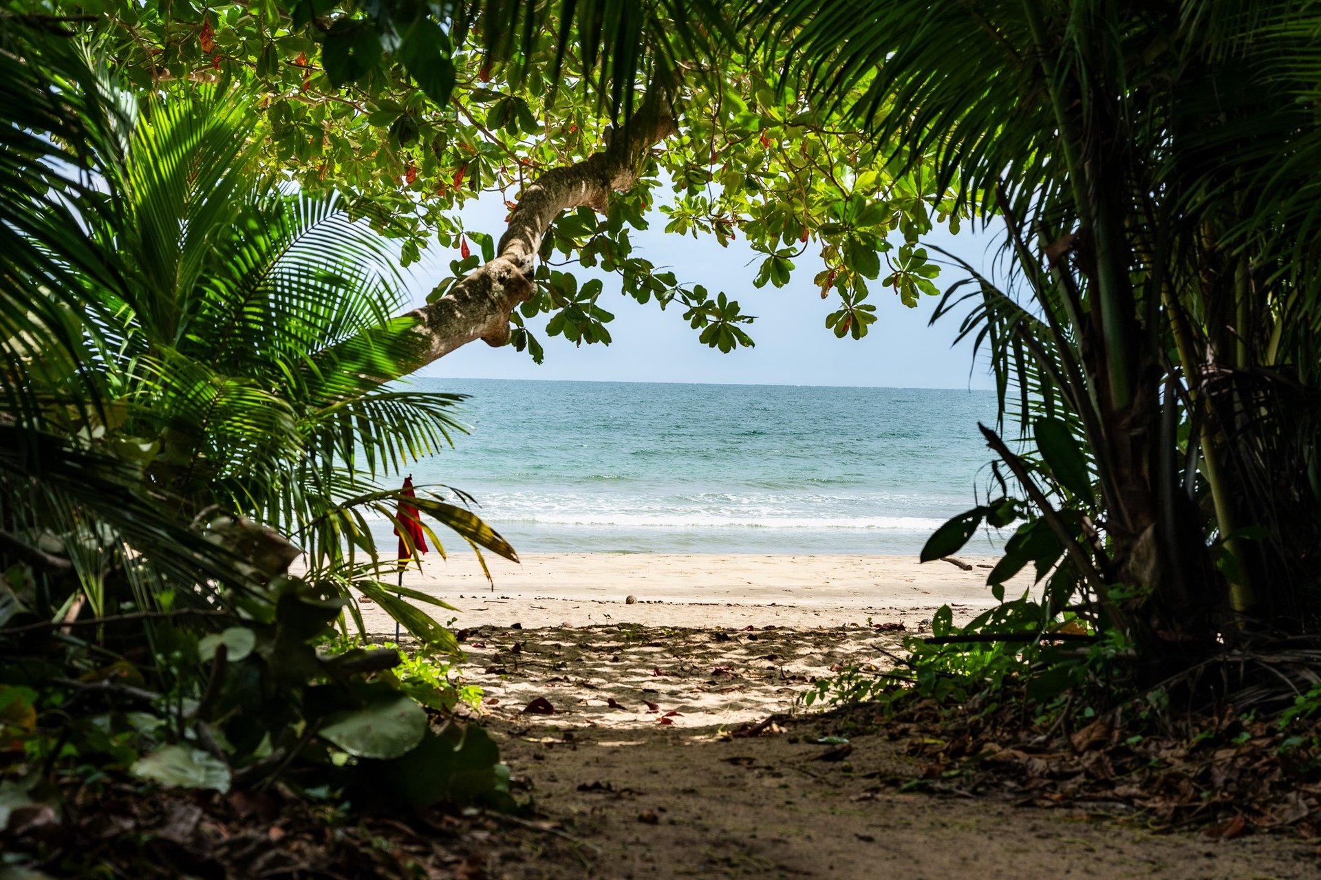 an abstract photo of a curved building with a blue sky in the background