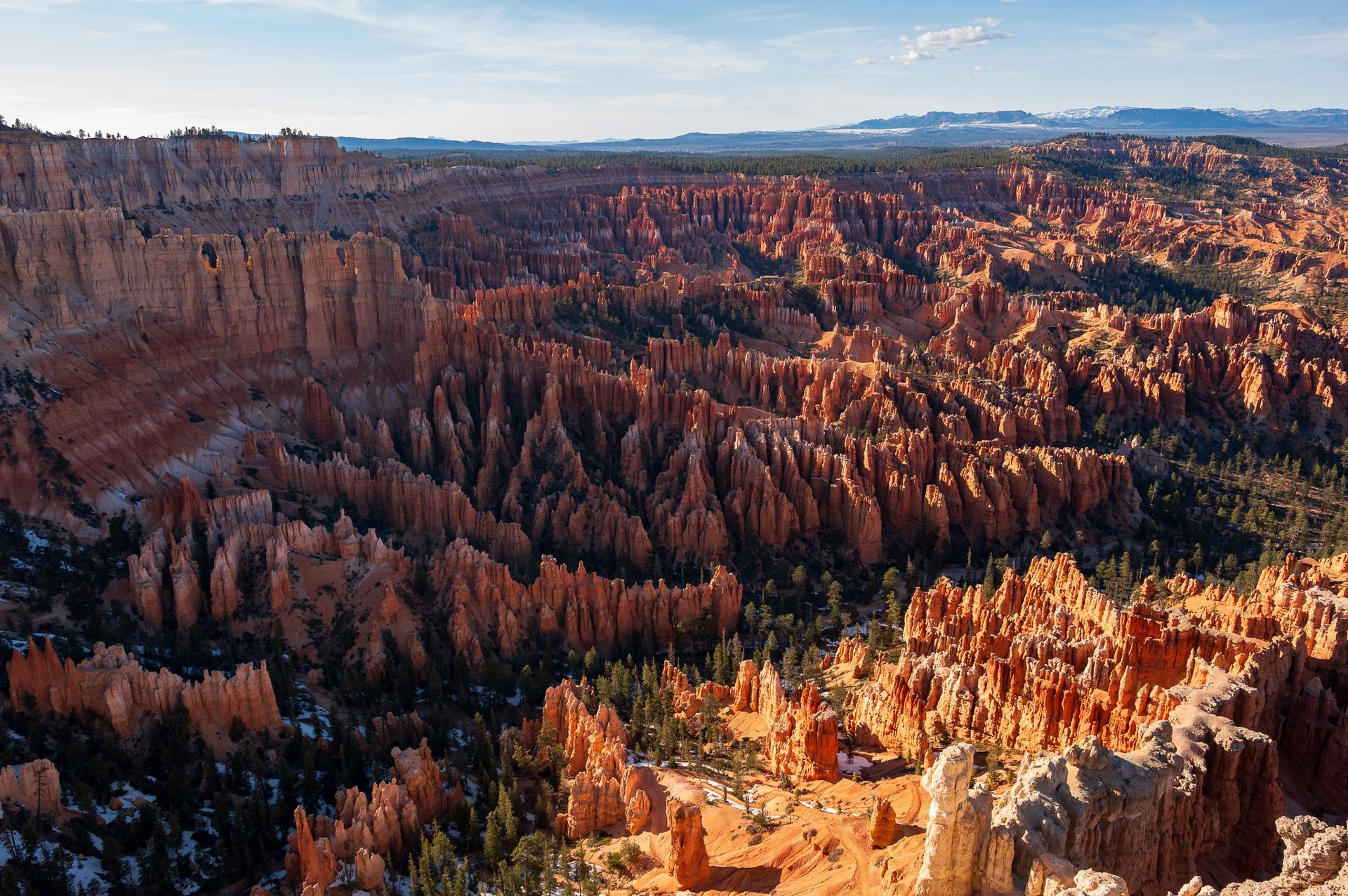 an abstract photo of a curved building with a blue sky in the background