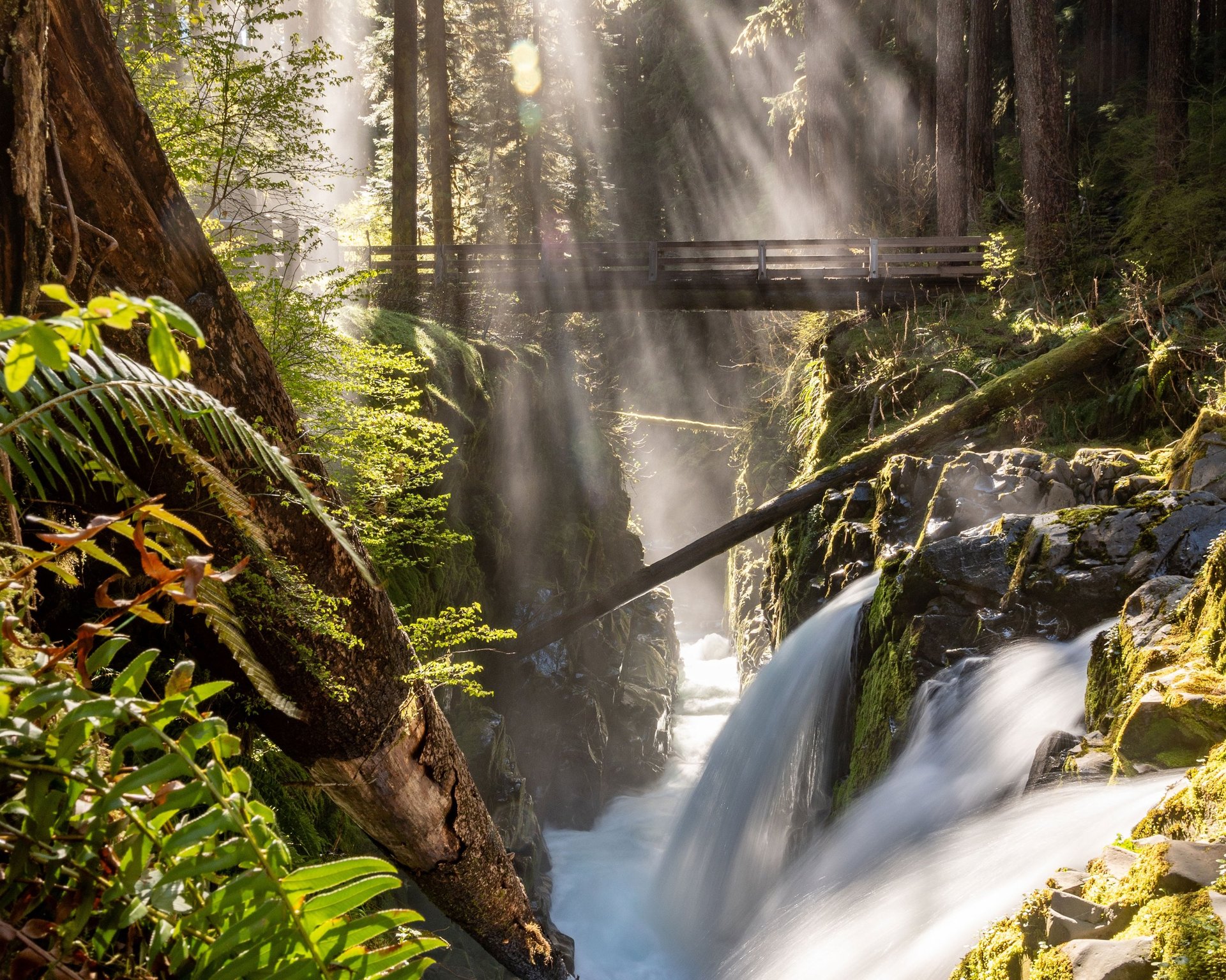 an abstract photo of a curved building with a blue sky in the background