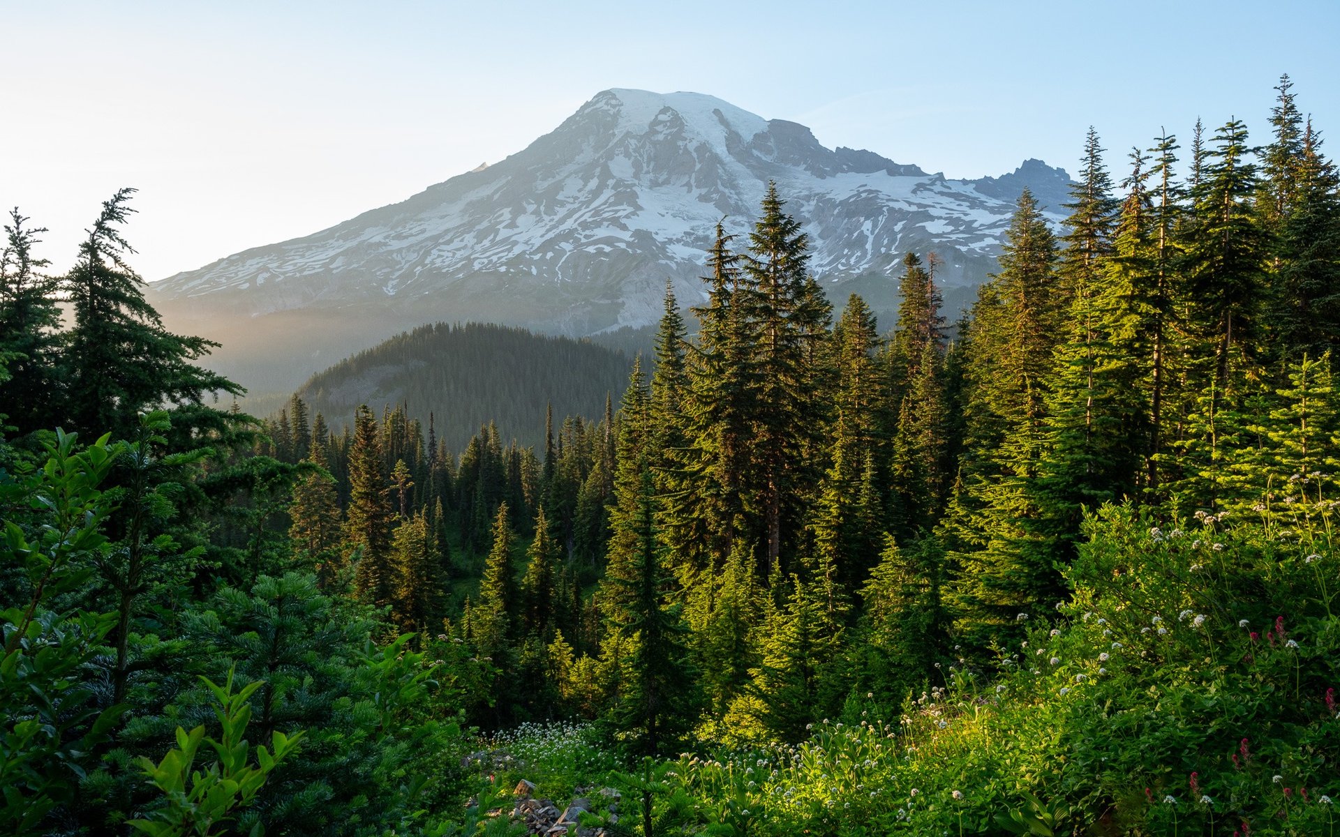 an abstract photo of a curved building with a blue sky in the background