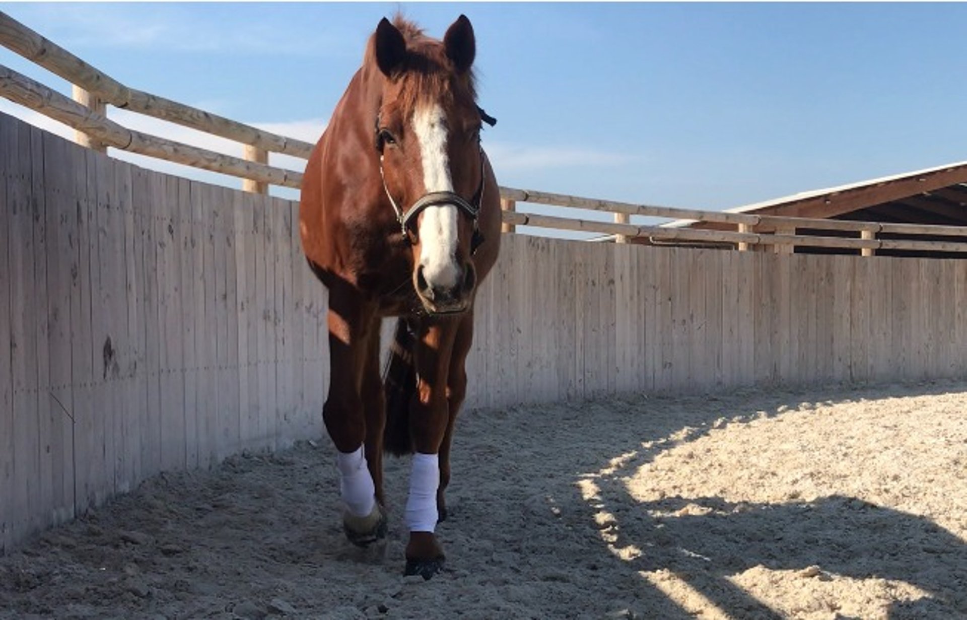 gray computer monitor