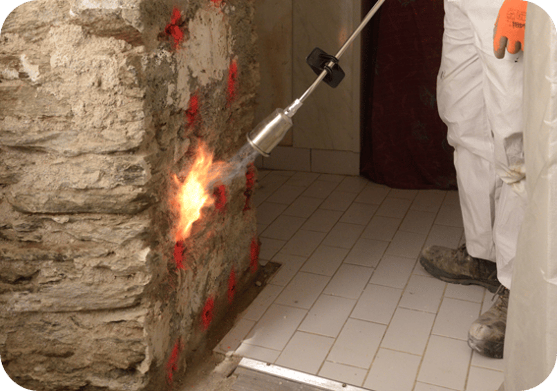 novabois traitement de mérule et de l'humidité nancy