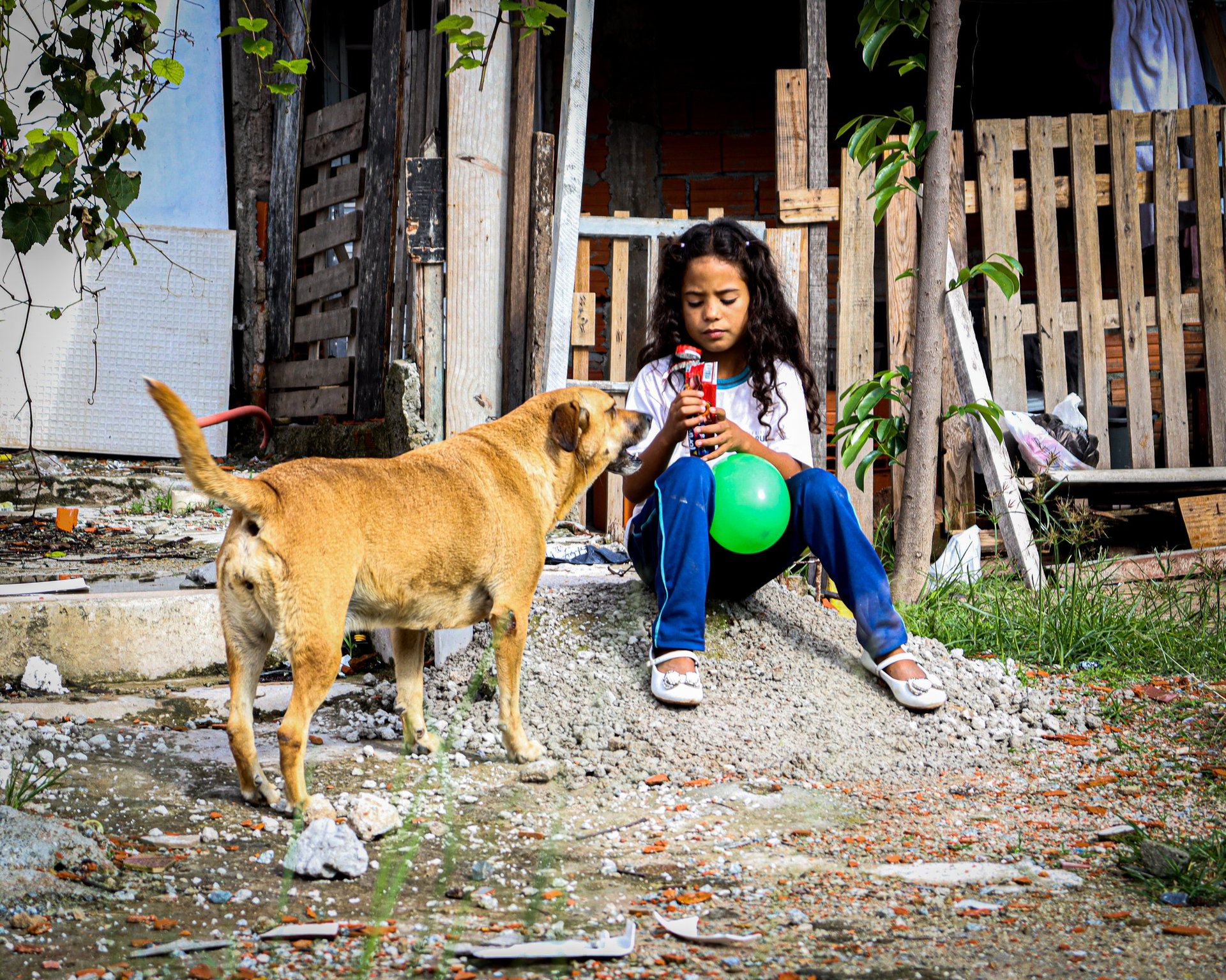 gray computer monitor