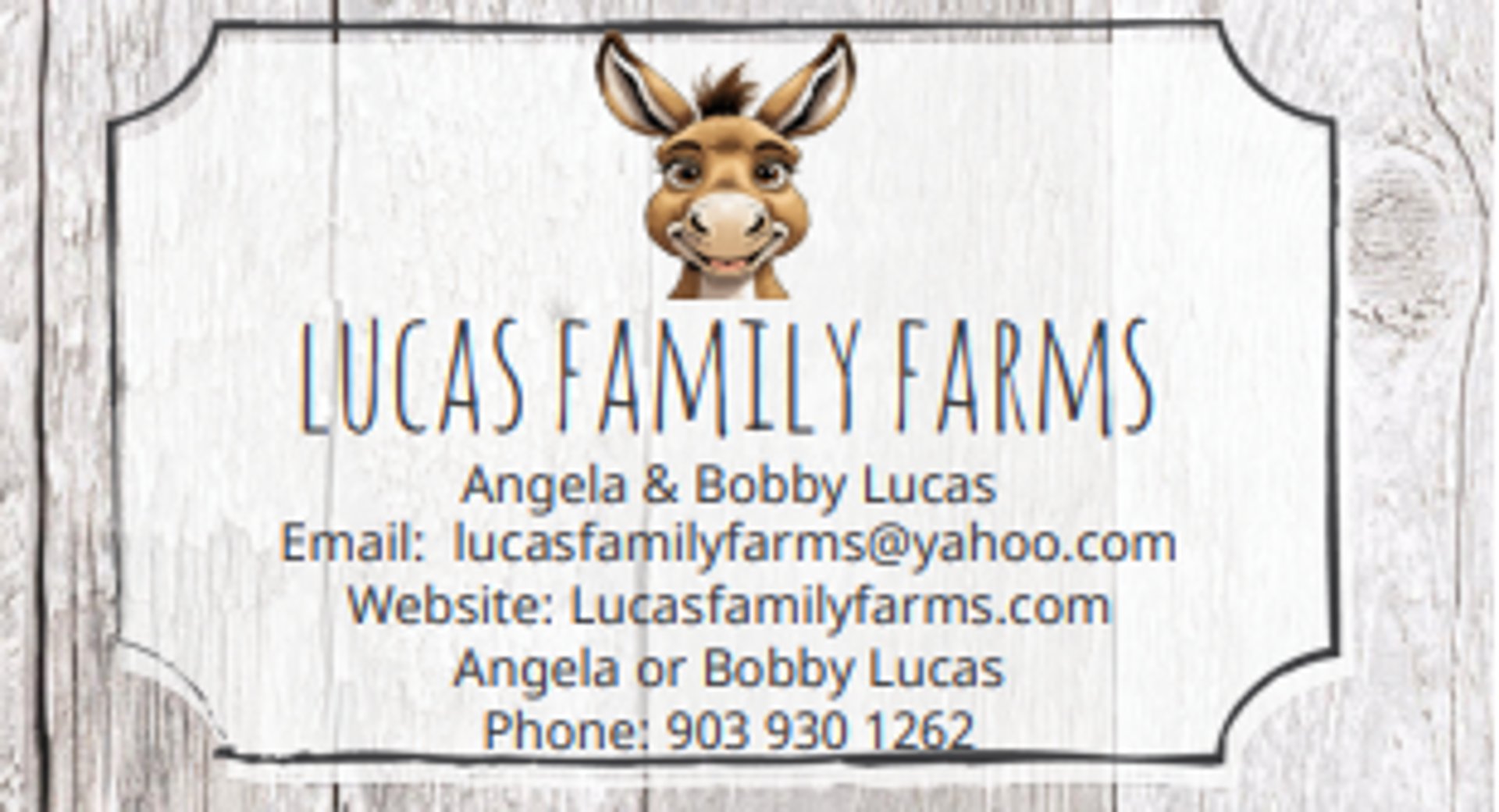 woman holding dried flower