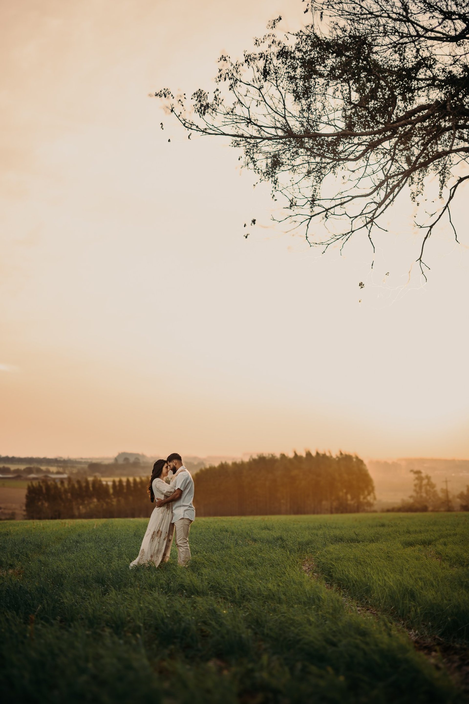 a close up of a bunch of green leaves