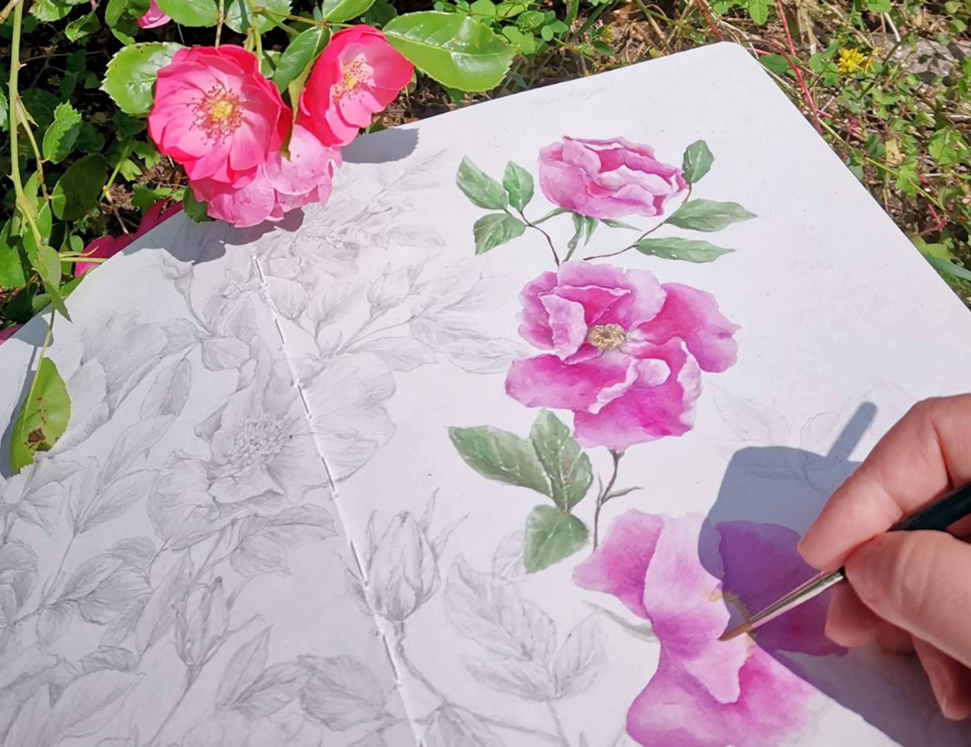 black and white bed linen