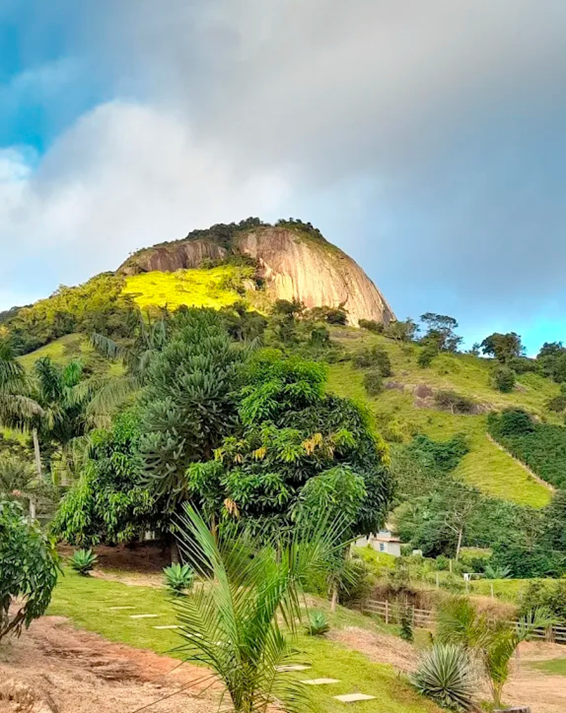 black and brown leather padded tub sofa