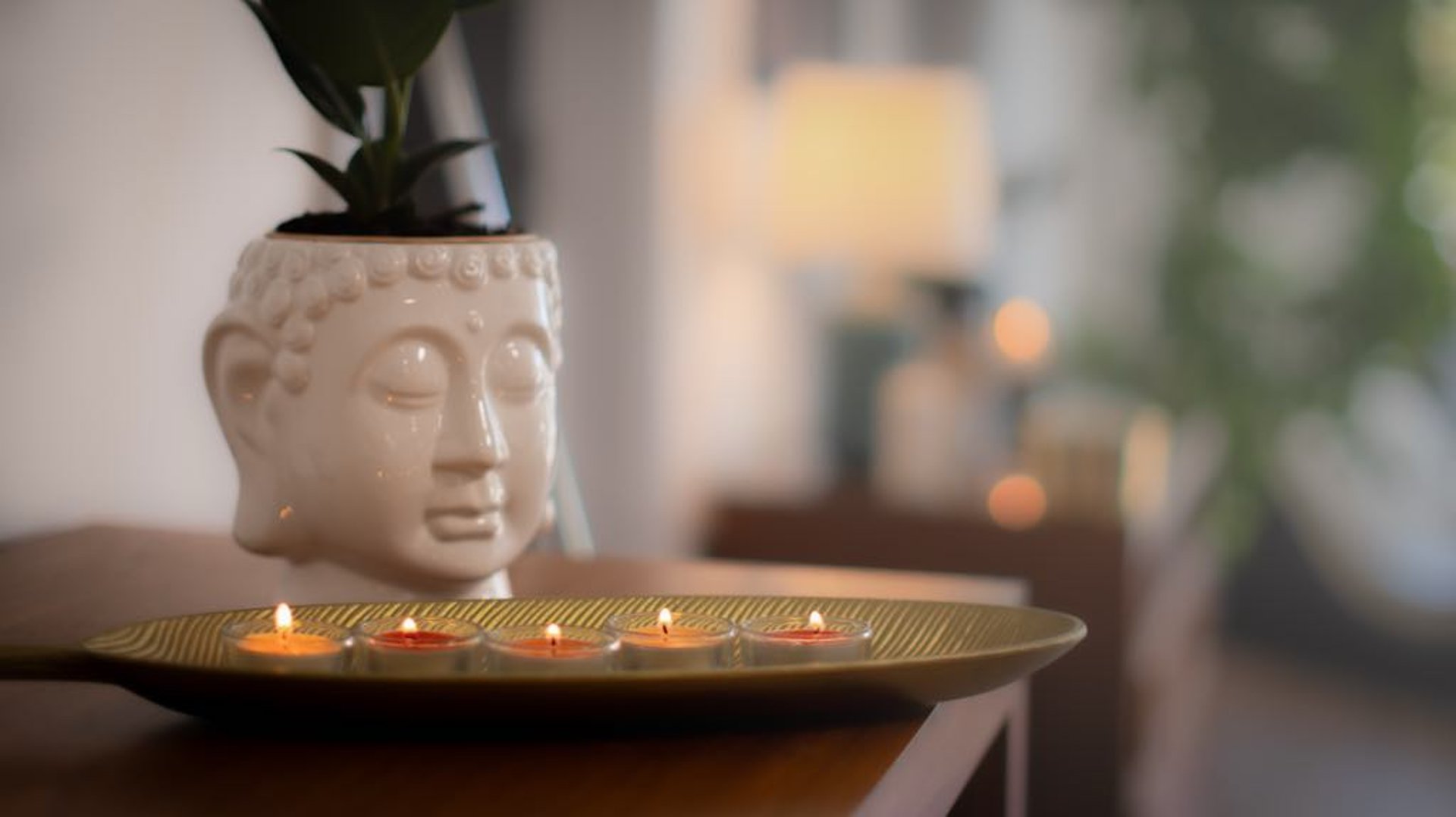 a close up of a white flower
