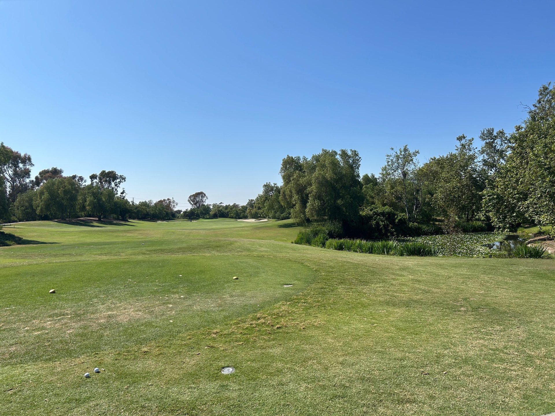 gray computer monitor