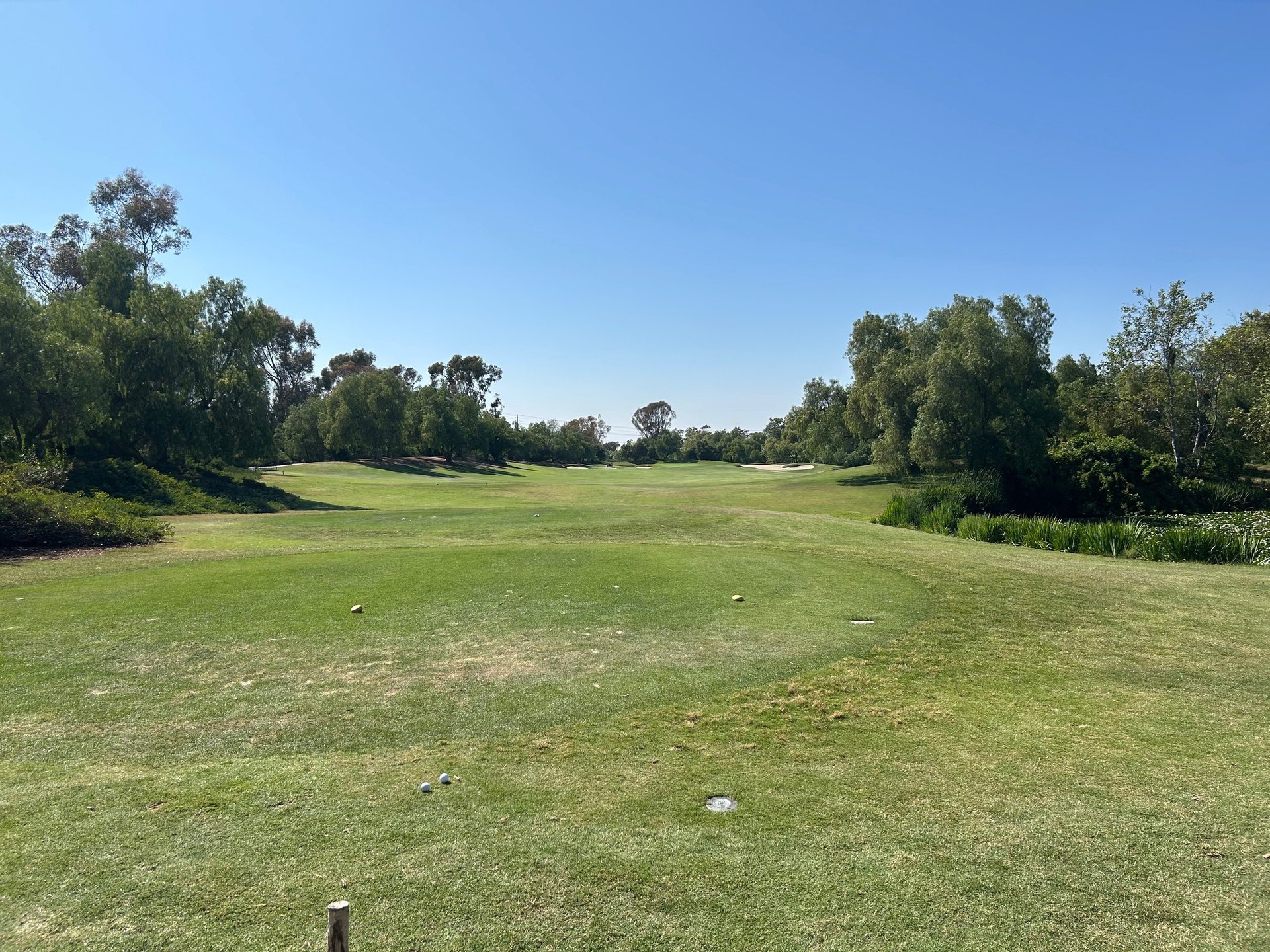 gray computer monitor