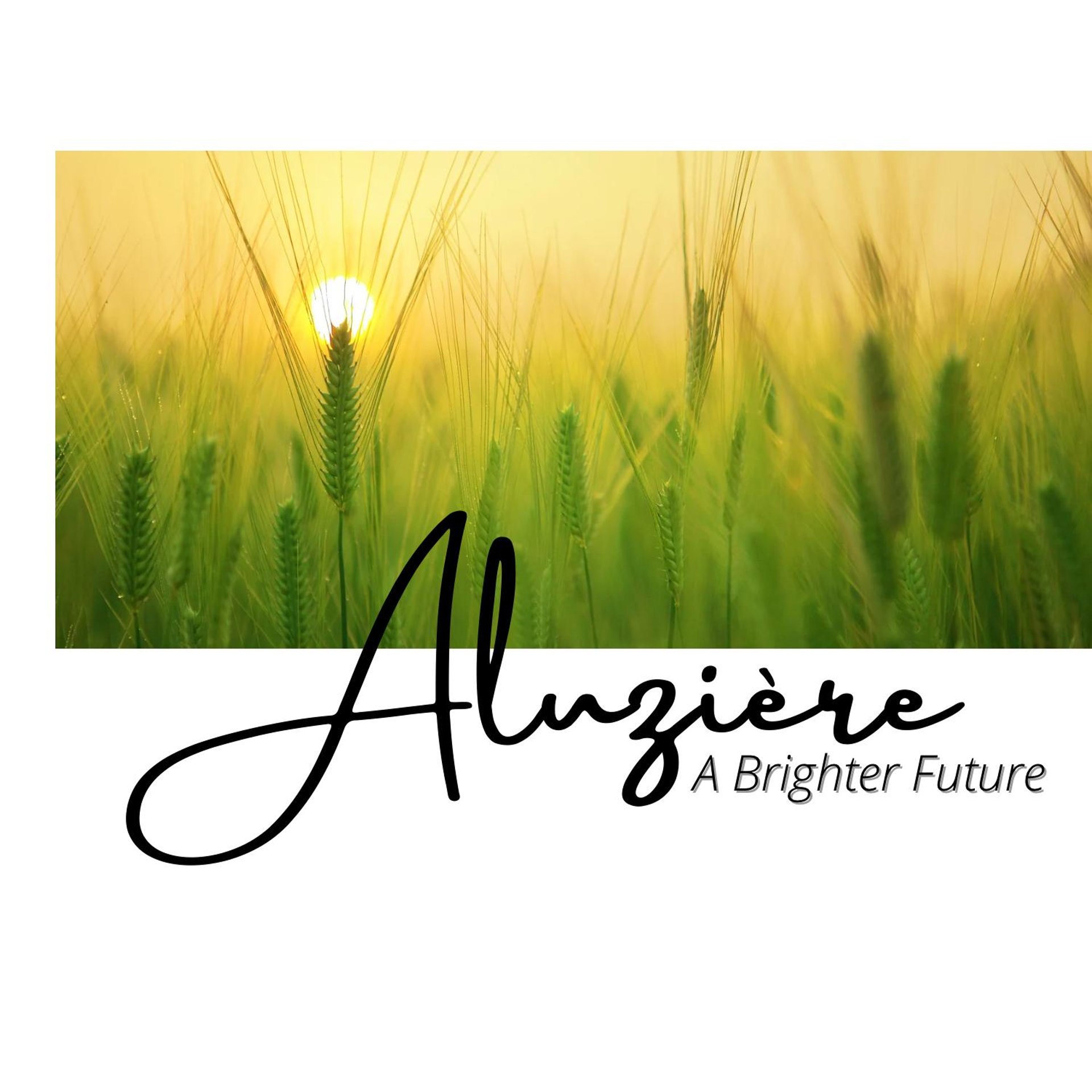 gray computer monitor