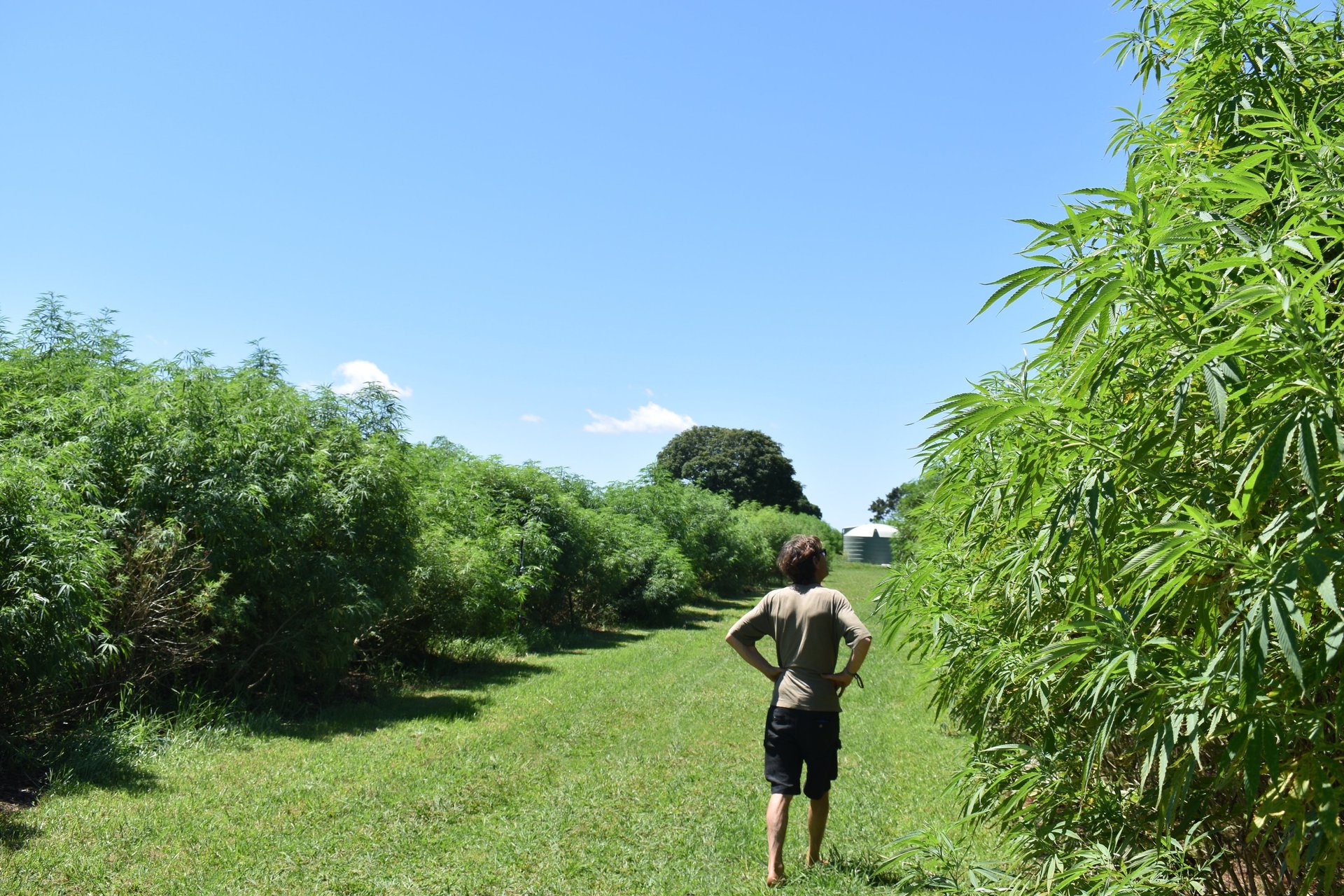 black and white bed linen
