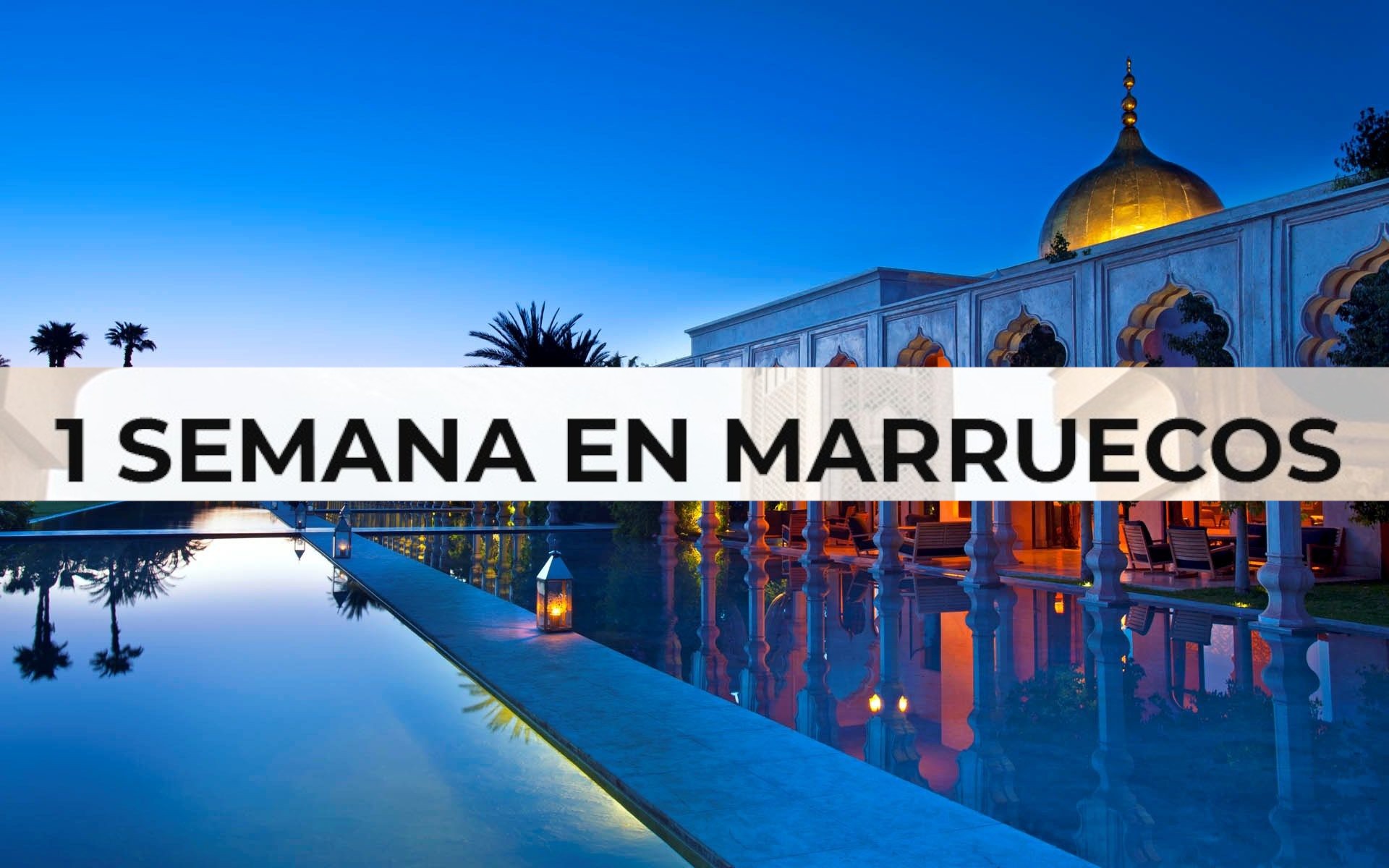 gray computer monitor