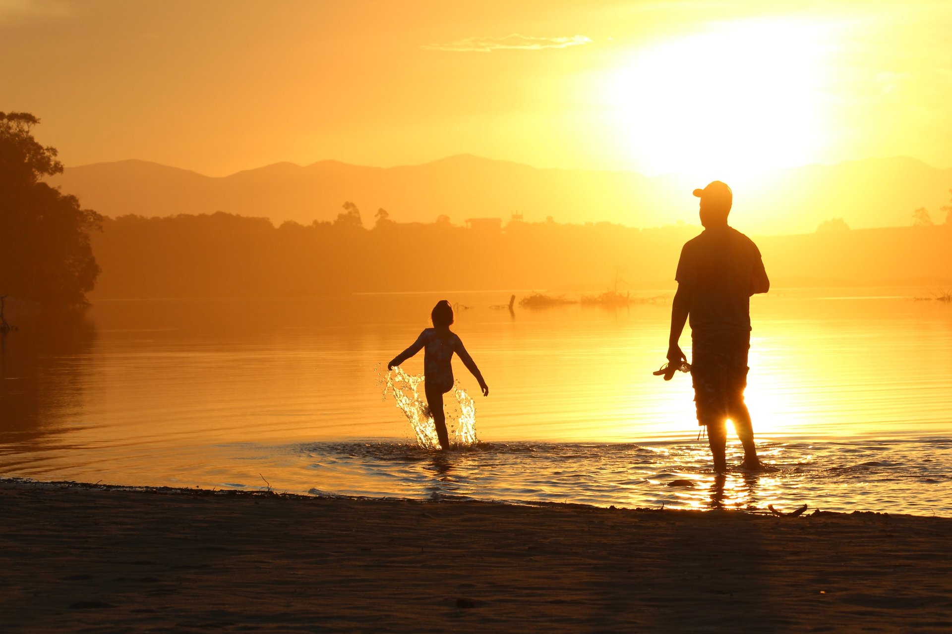 brown wooden dock near lake surrounded with tall trees