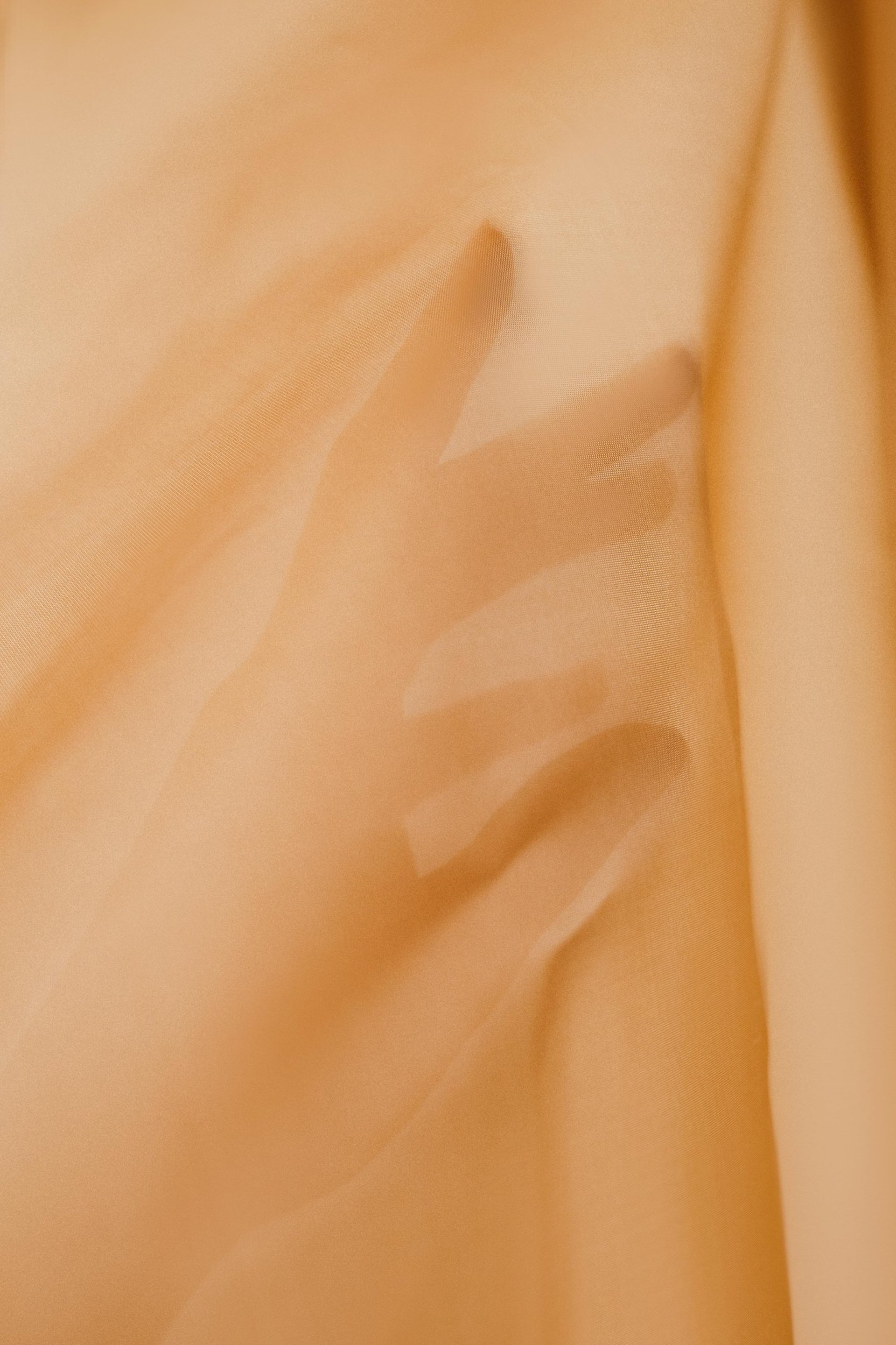 Massage therapist giving a back massage.