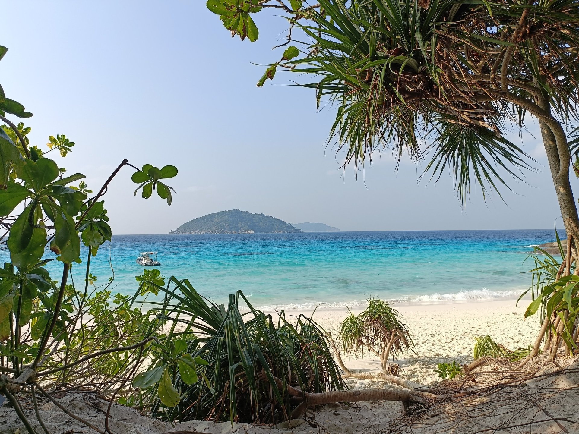 white and black boat on body of water during daytime