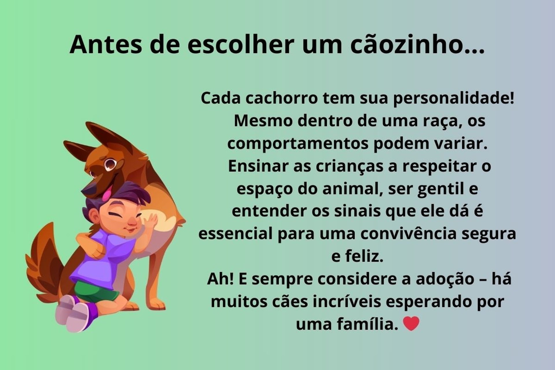 Dica sobre adoção de um caõzinho