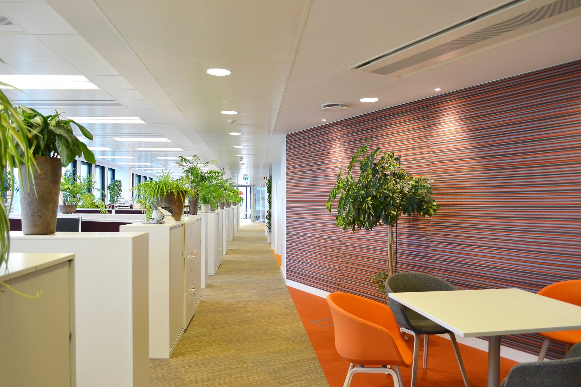 oficina para Lilly Laboratories con paredes acusticas y falso techo modular