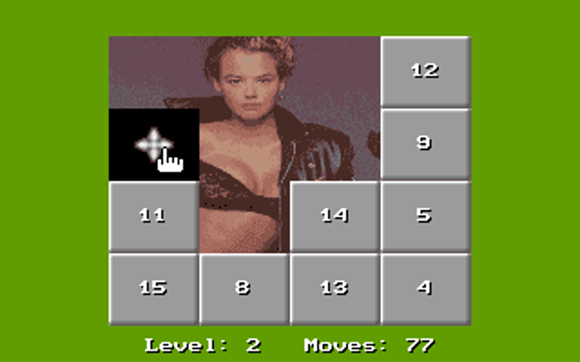 Adult Games (15 Move Hole Puzzle).