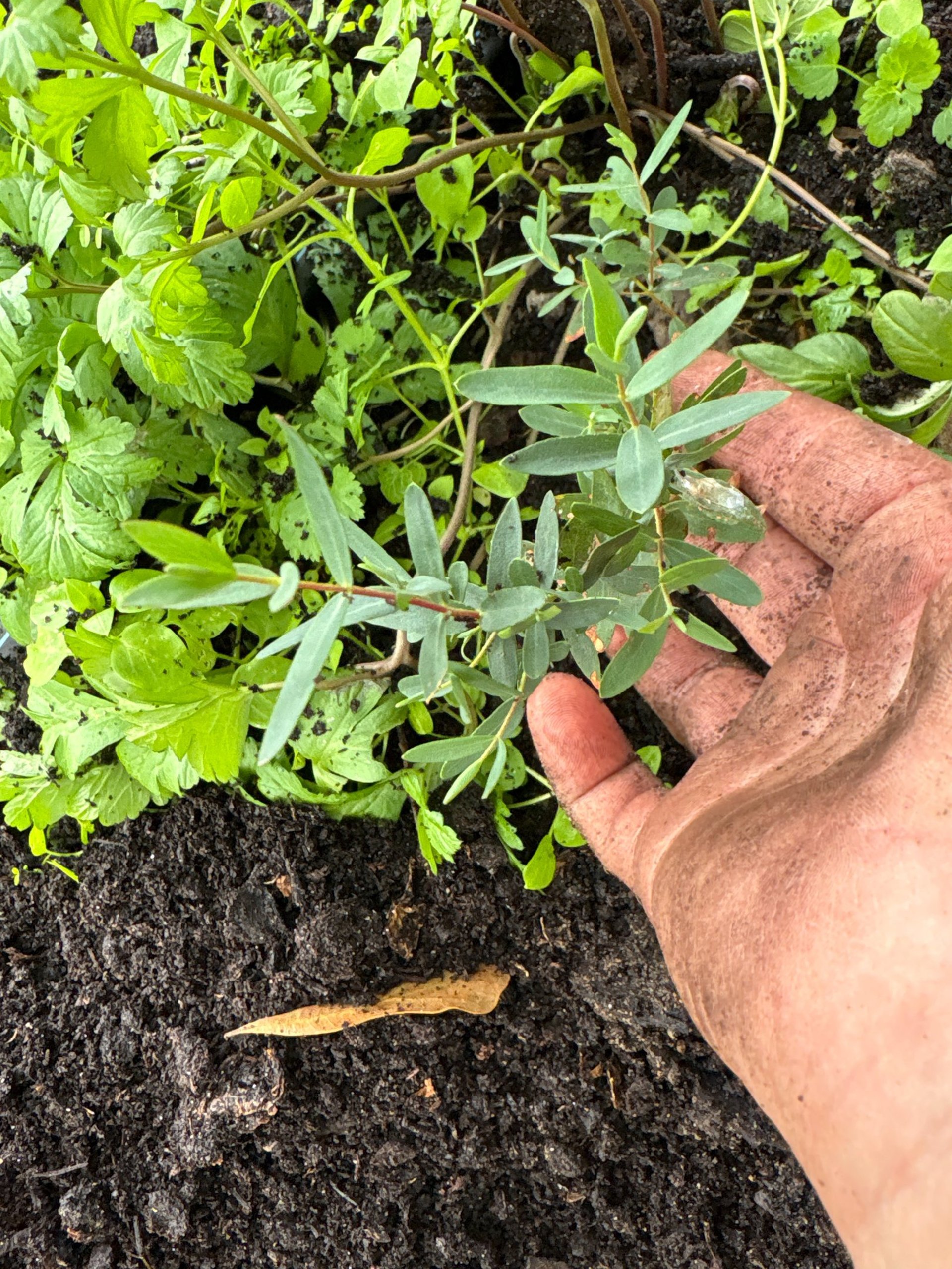 black blue and yellow textile