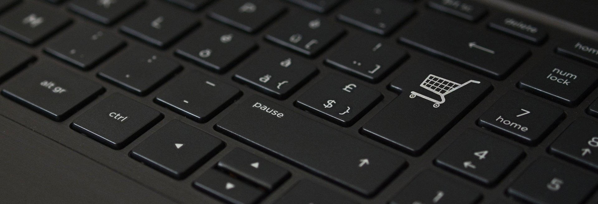 person using laptop