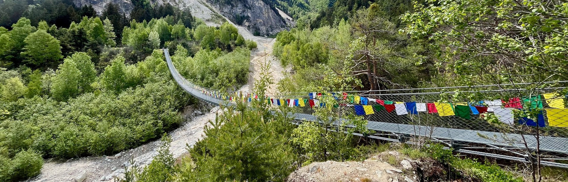 View looking up the Illgraben at the Bhutan Brucke in Switzerland's Pfynwald Forest in the Valais