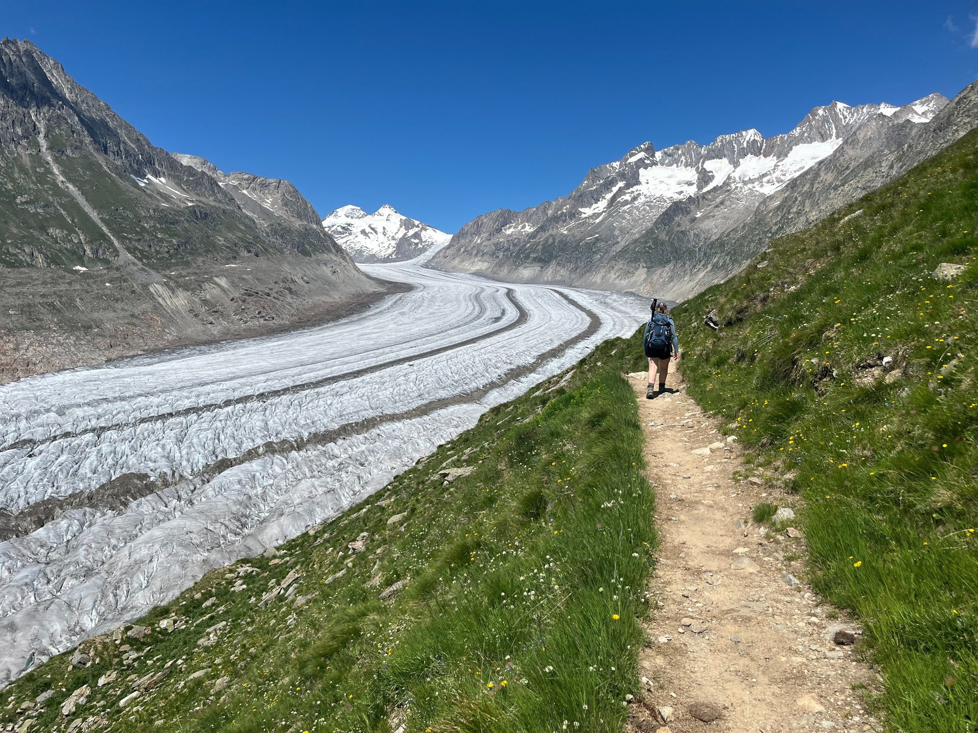 The quickly changing landscape of the Aletsch Arena