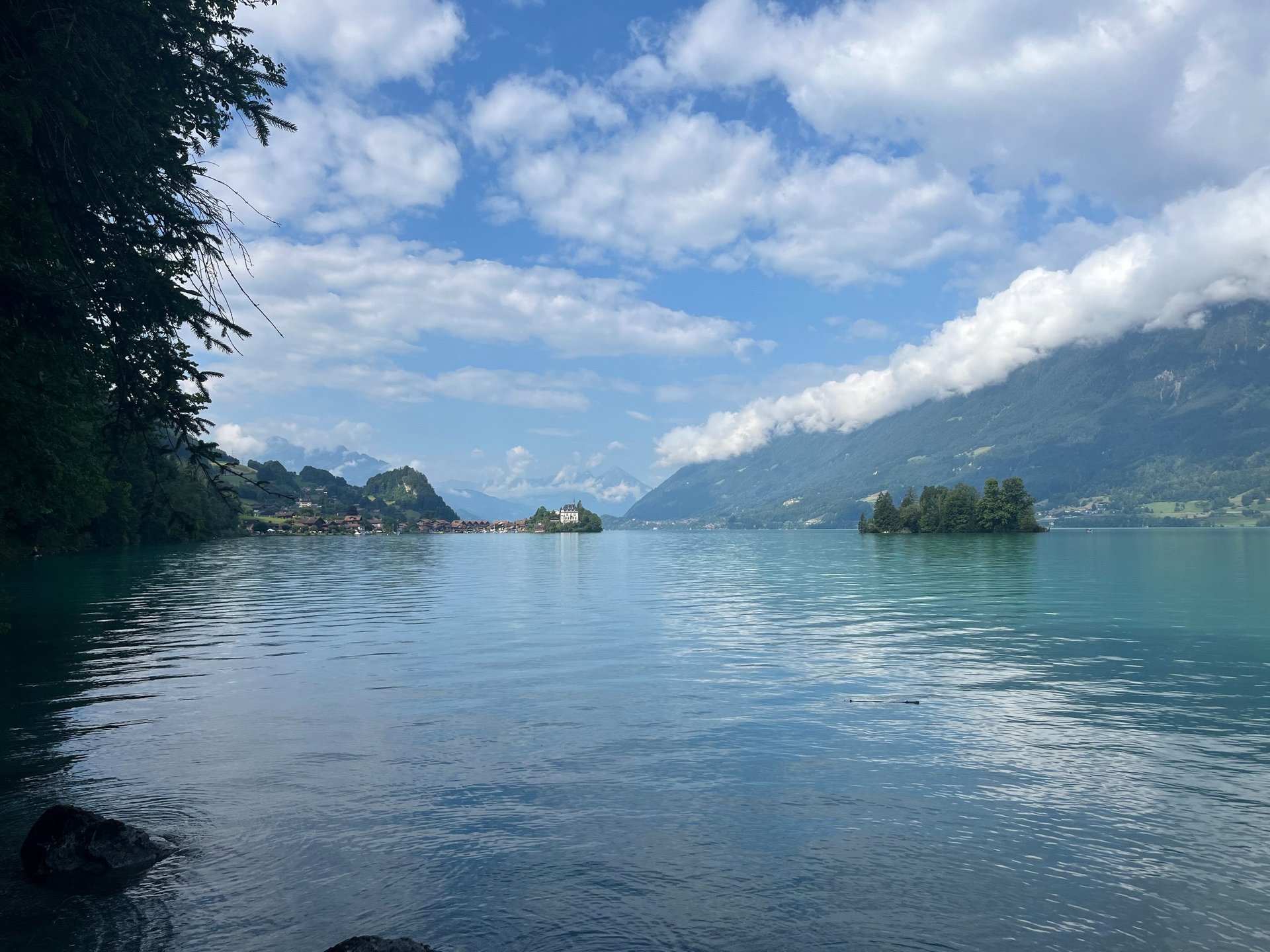 The view of the Alps from Nationalquai