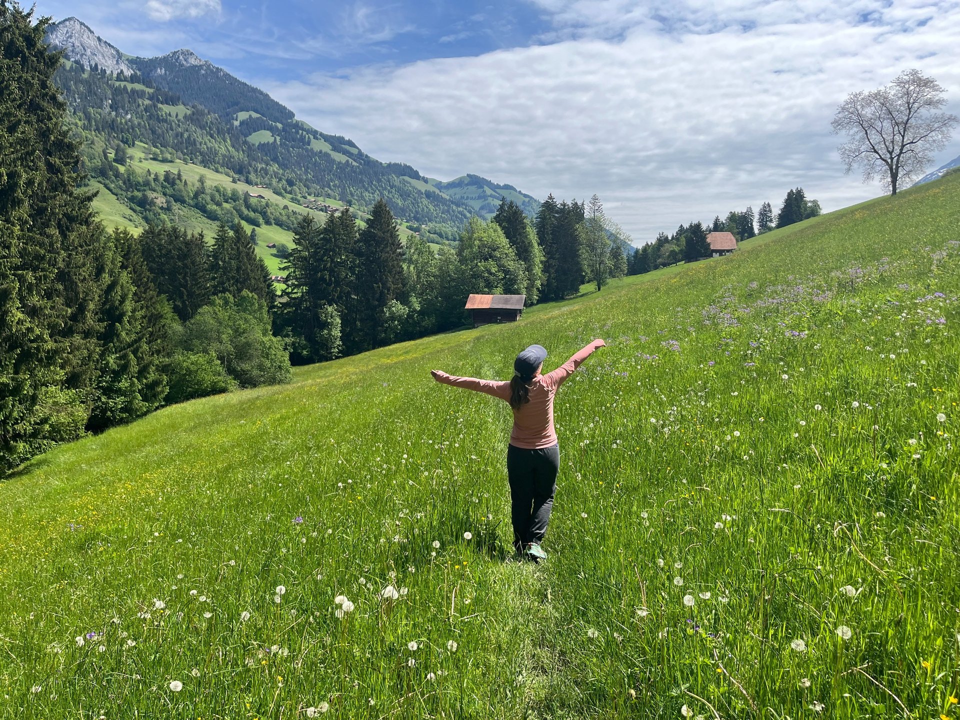 Meadows in the Simmental