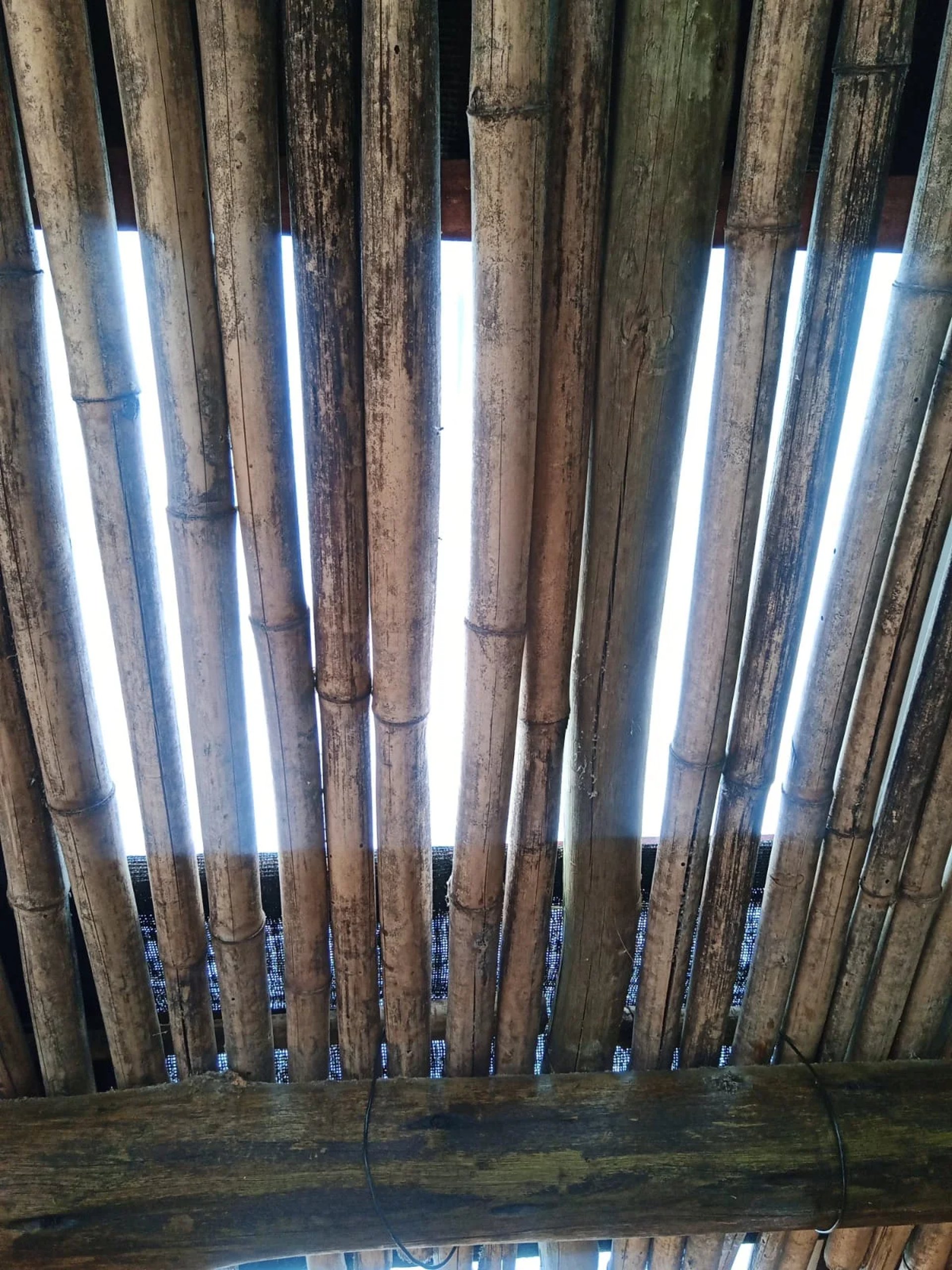 pergolado